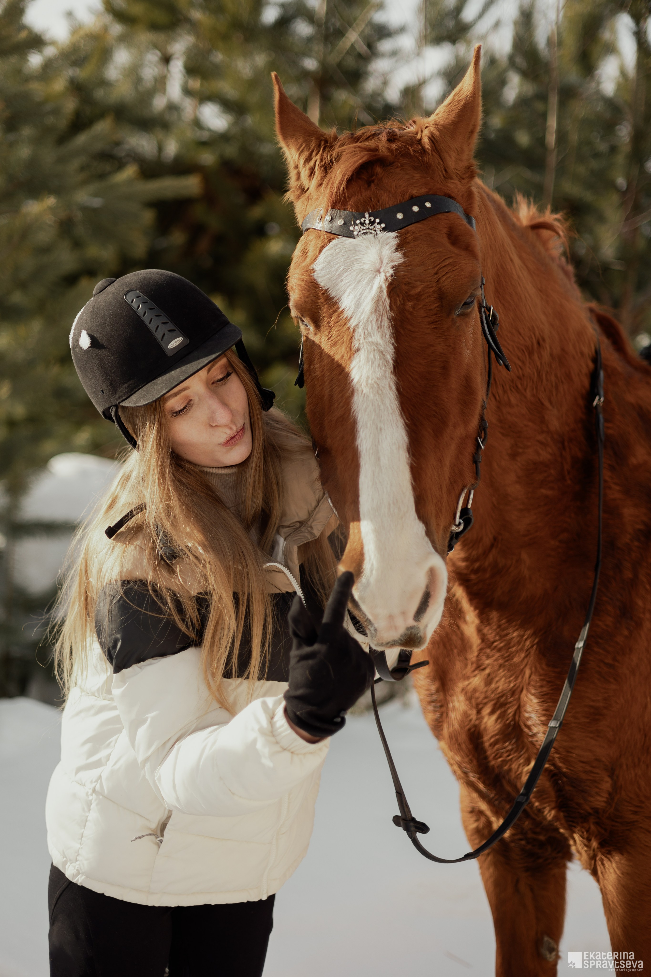 Среди грив и копыт. Фотограф Анималист Екатерина Справцева в Нижнем Новгороде