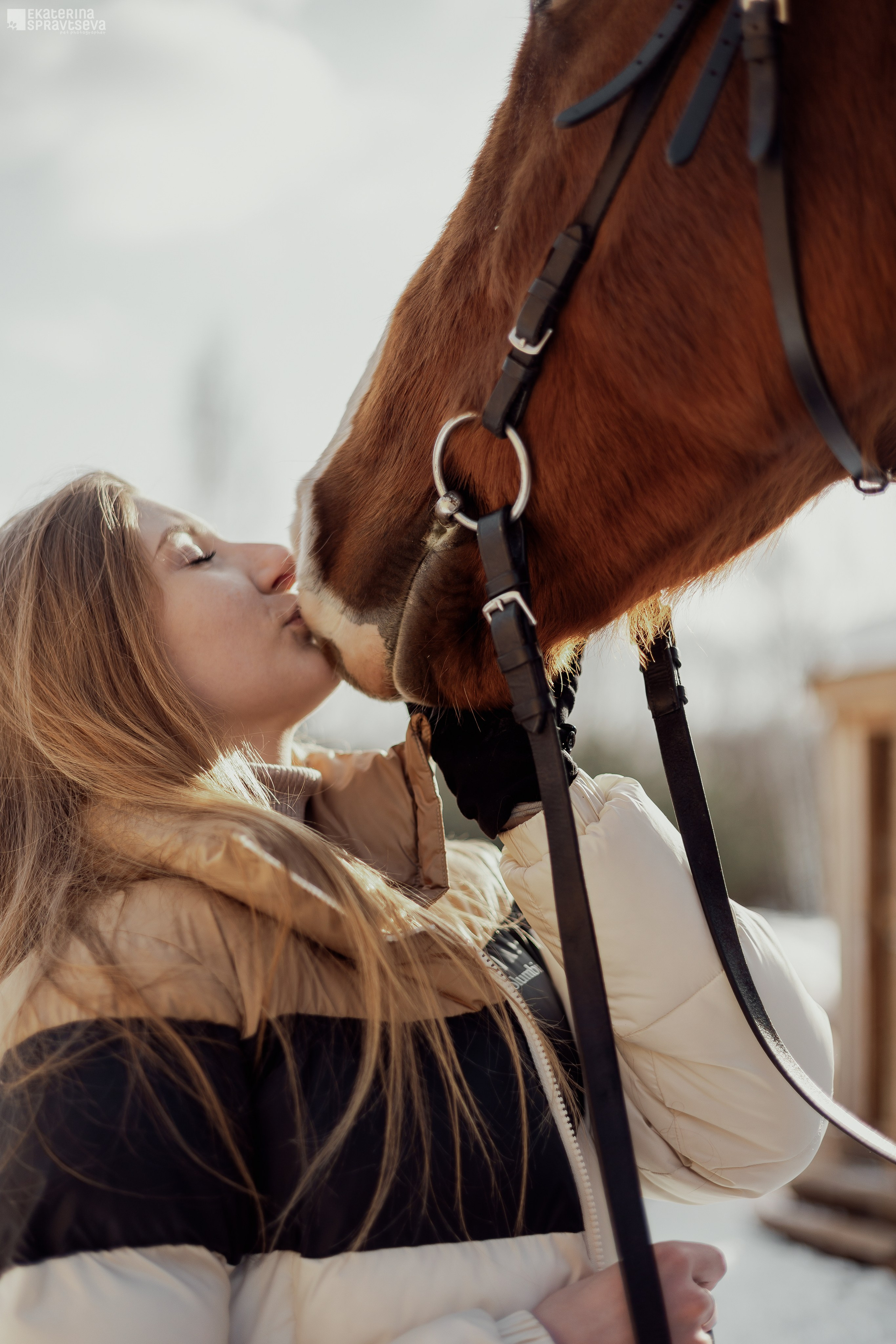 Среди грив и копыт. Фотограф Анималист Екатерина Справцева в Нижнем Новгороде