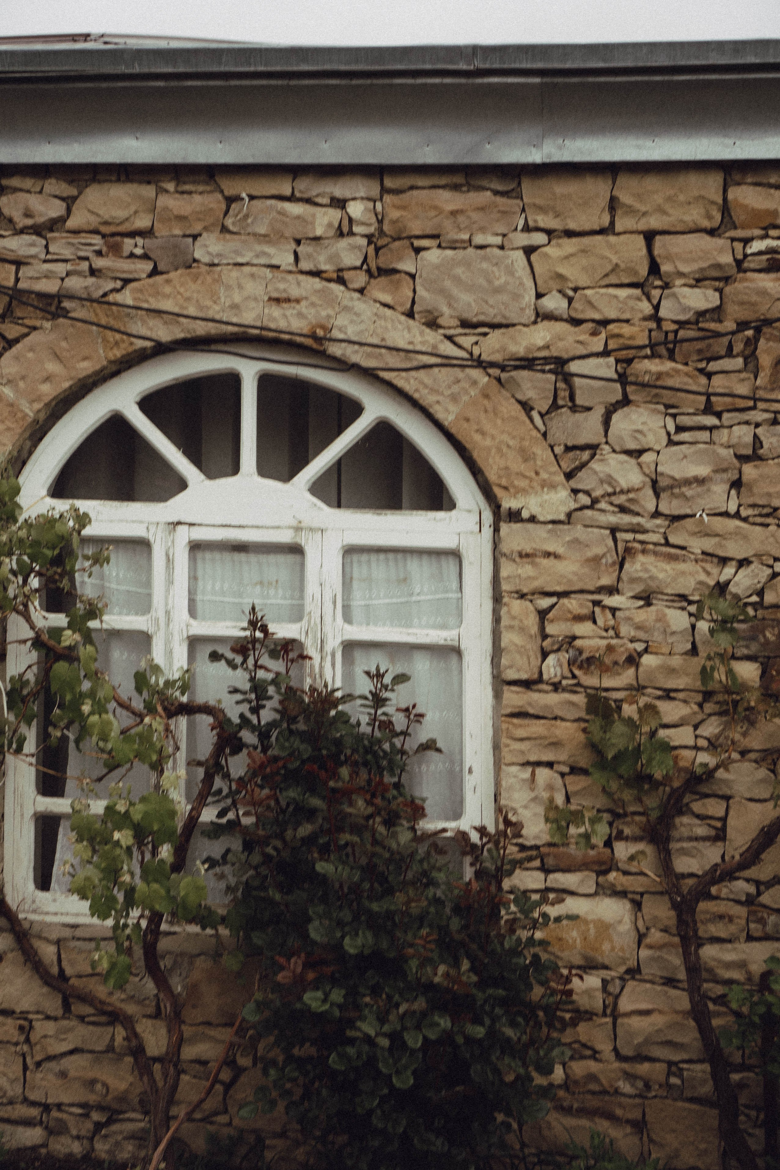 Путешествие в Дагестане. Профессиональный фотограф, Санкт-Петербург — Виктория Богомолова