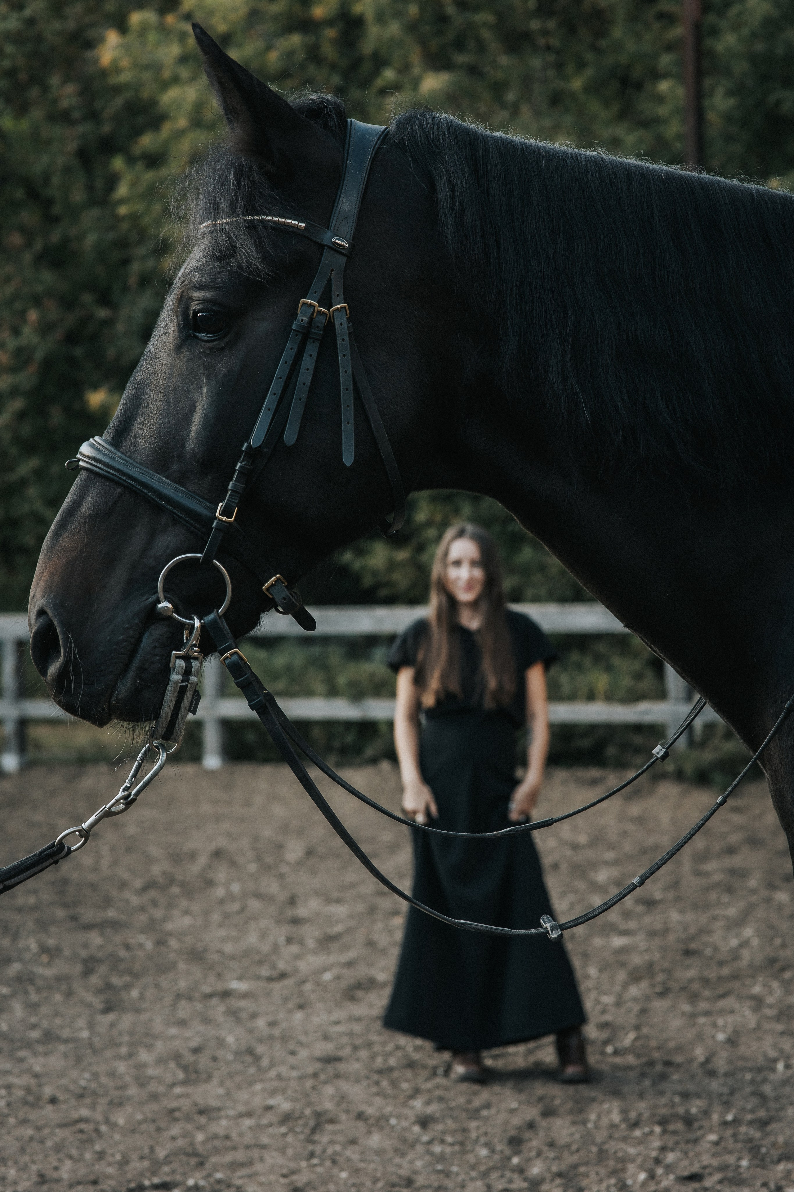 Большая семья и черный конь Султан. Семейный фотограф в Москве Наталья Чуб, заказать Фотокнигу