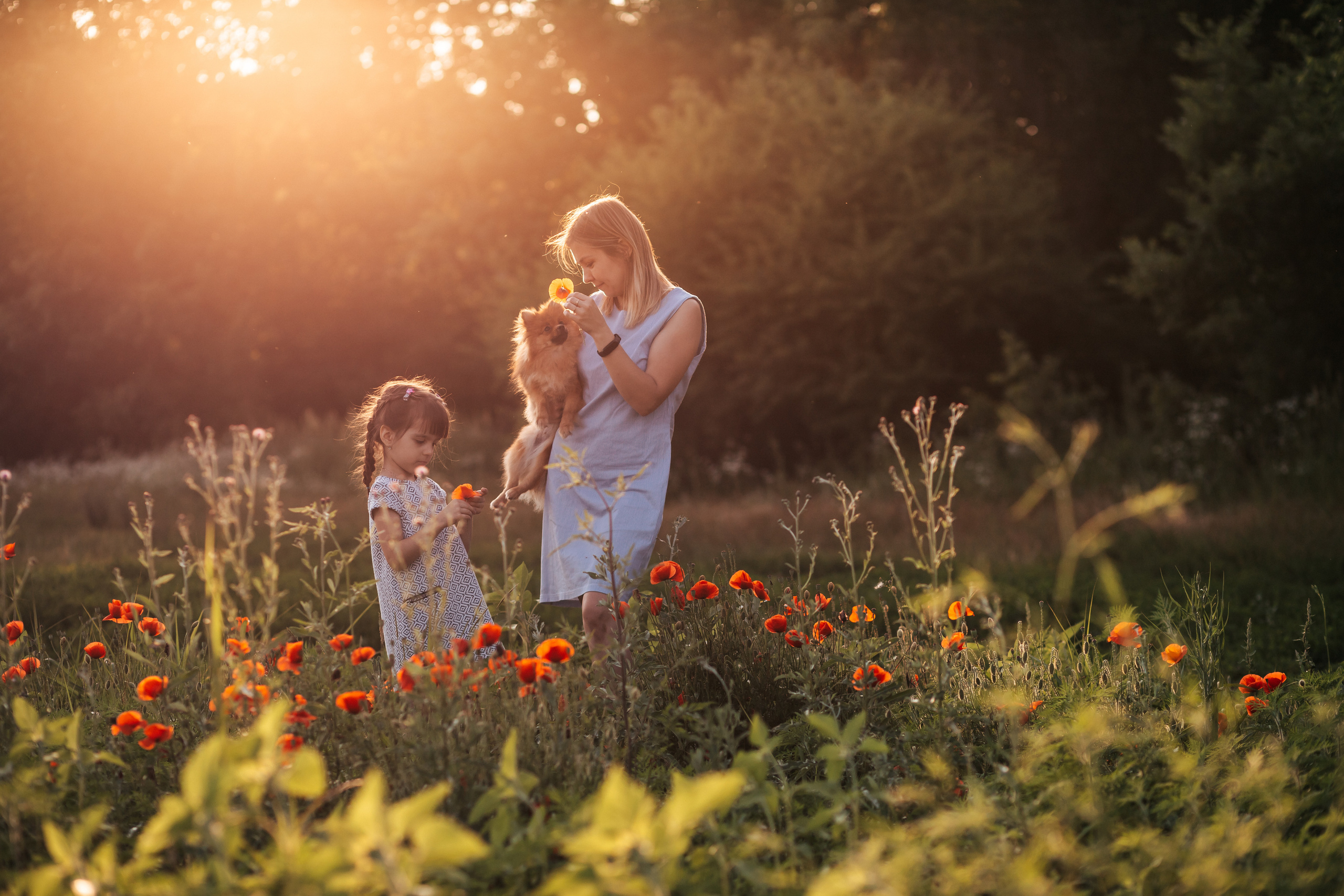 Семейная фотосессия на природе. Детский и семейный фотограф в Краснодаре, Анна Горбачева