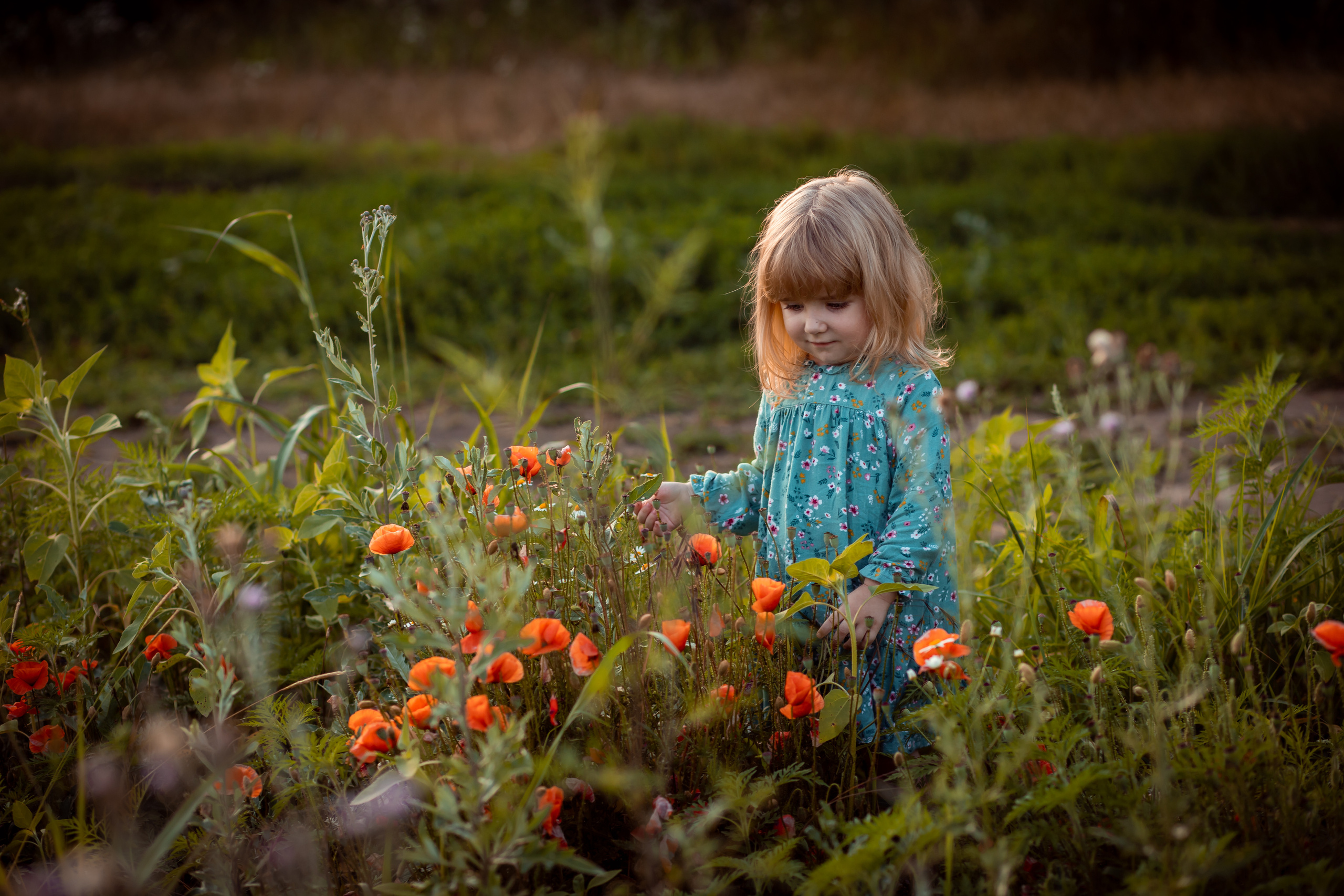 Семейная фотосессия на природе. Детский и семейный фотограф в Краснодаре, Анна Горбачева