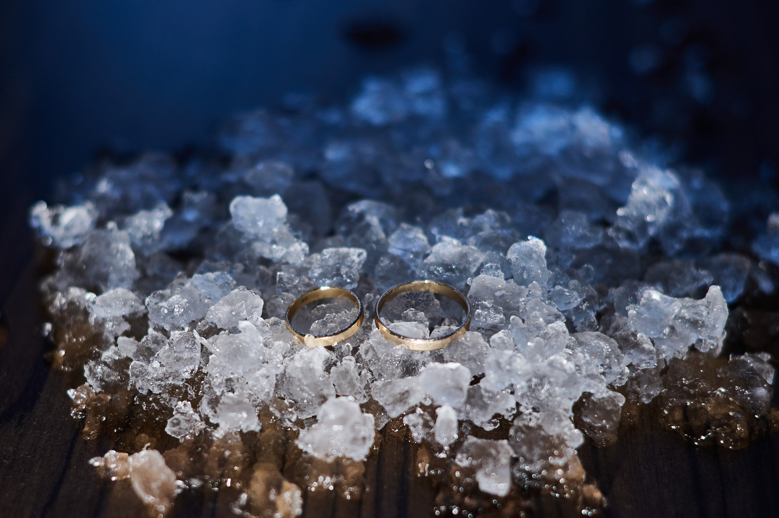 Руслан и Дарья. Фотосъемка мероприятий