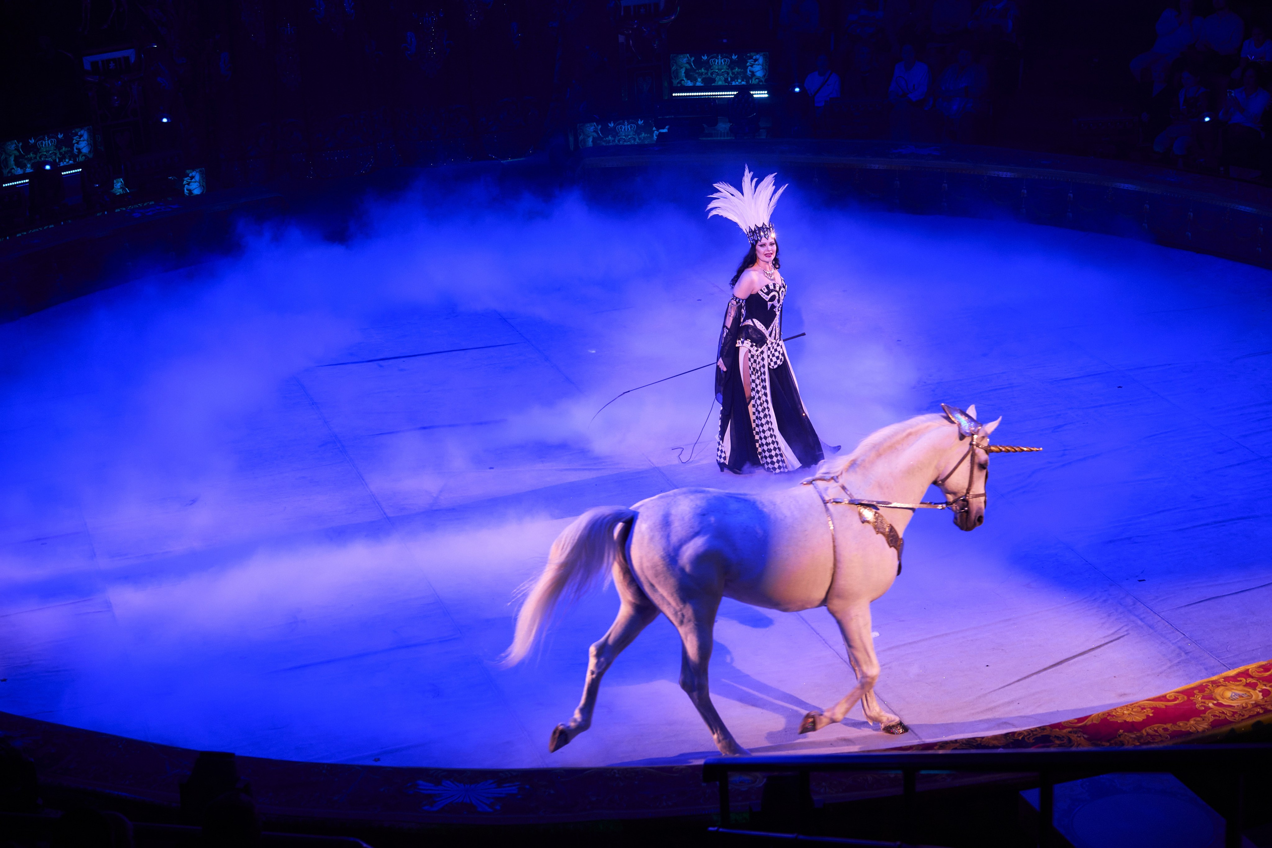 Королевский цирк Гии Эрадзе. Свадебный и семейный фотограф