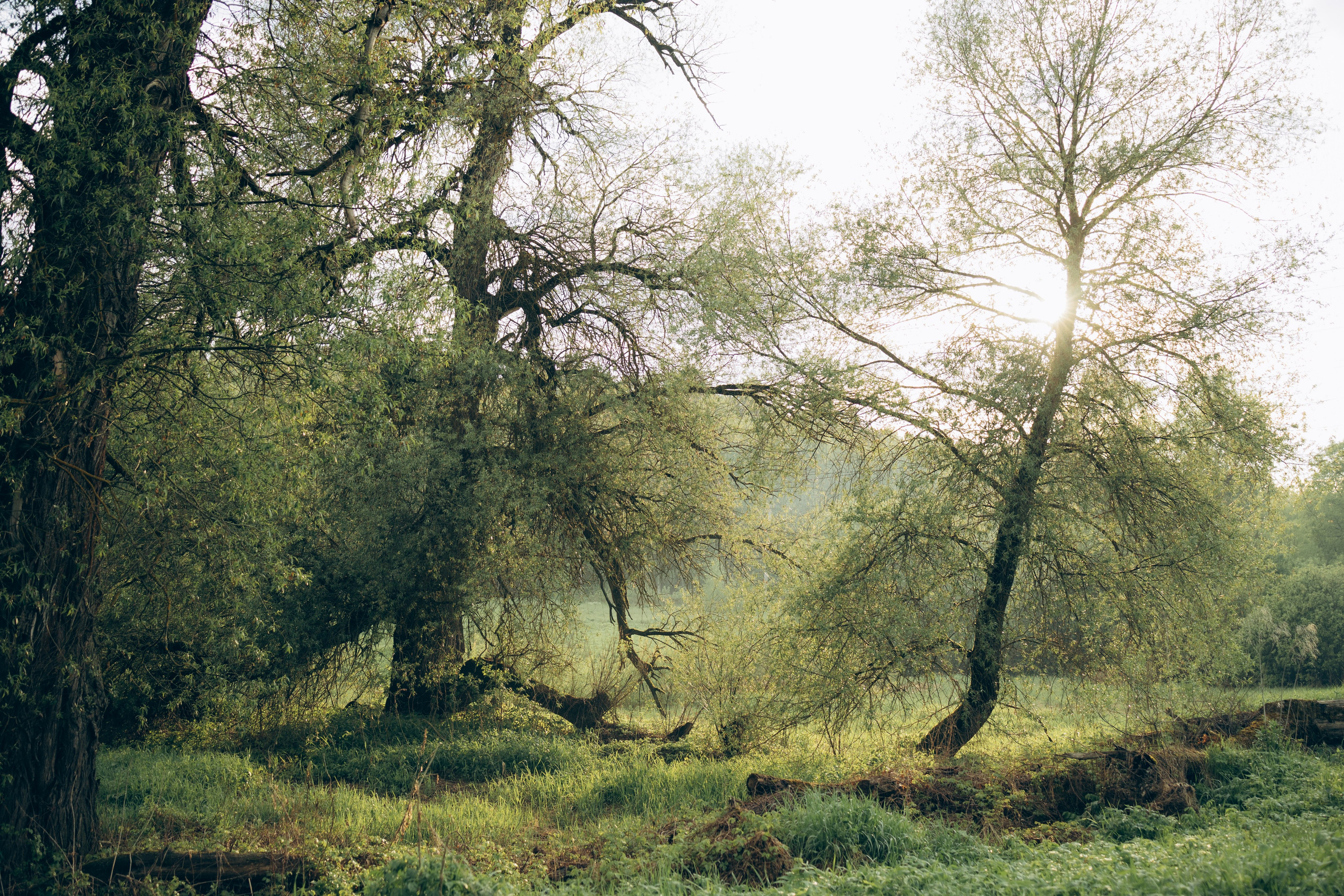 Istra. Женский фотограф Истра