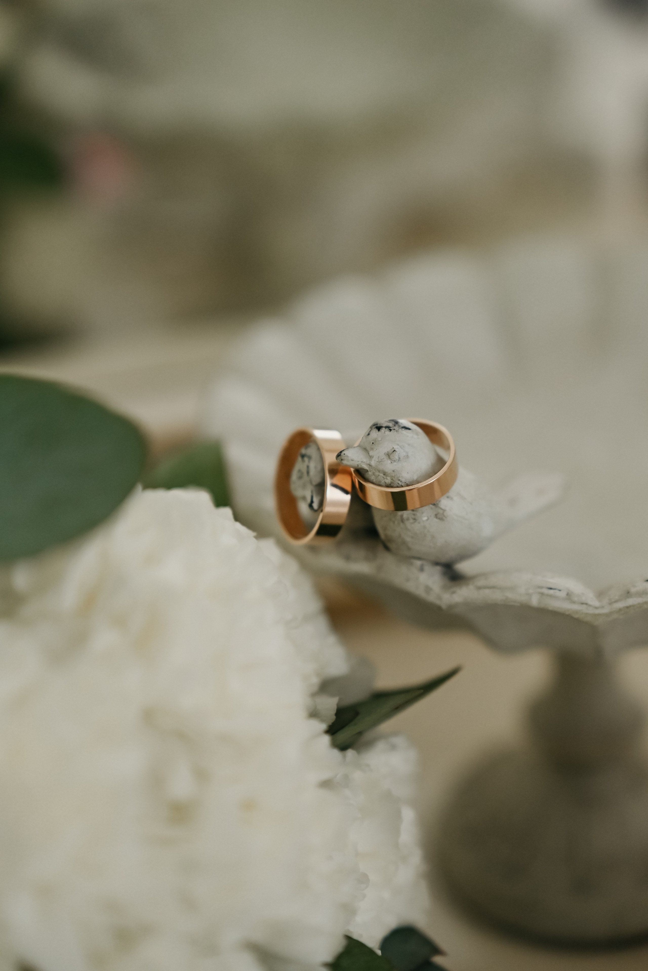 Николай Алёна. Ваш фотограф