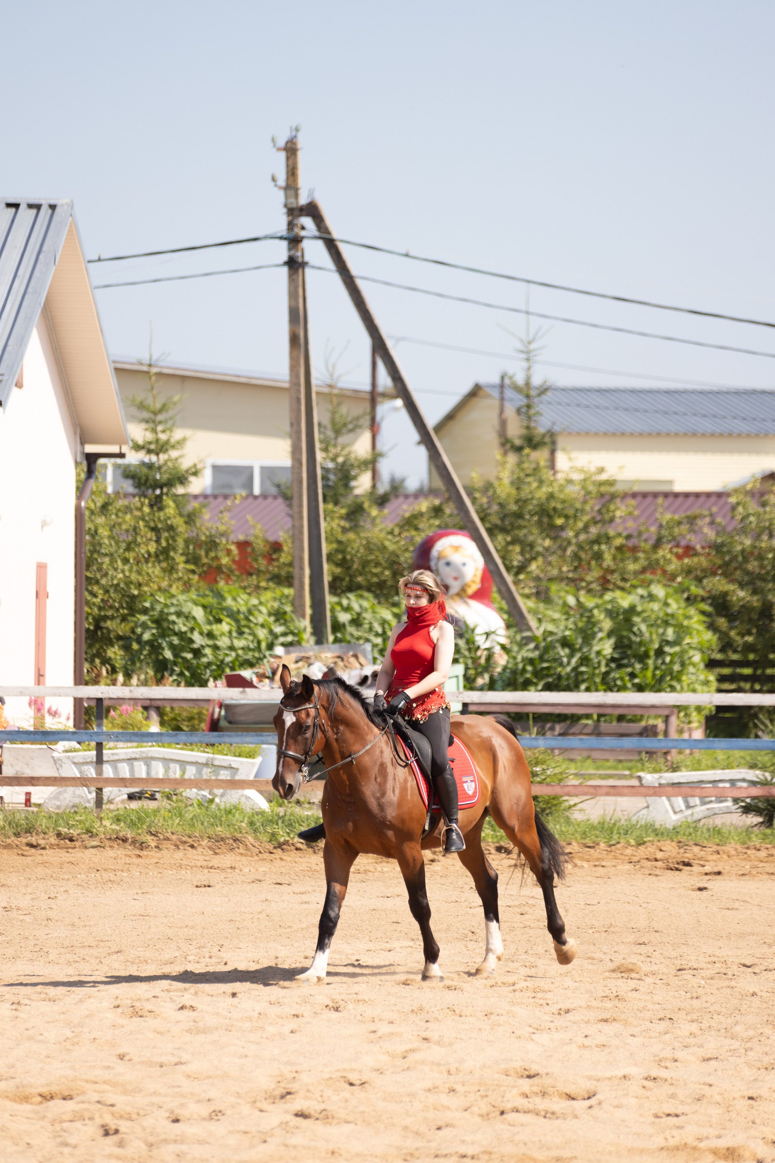 Конюшня. Фотограф в Москве и Истре