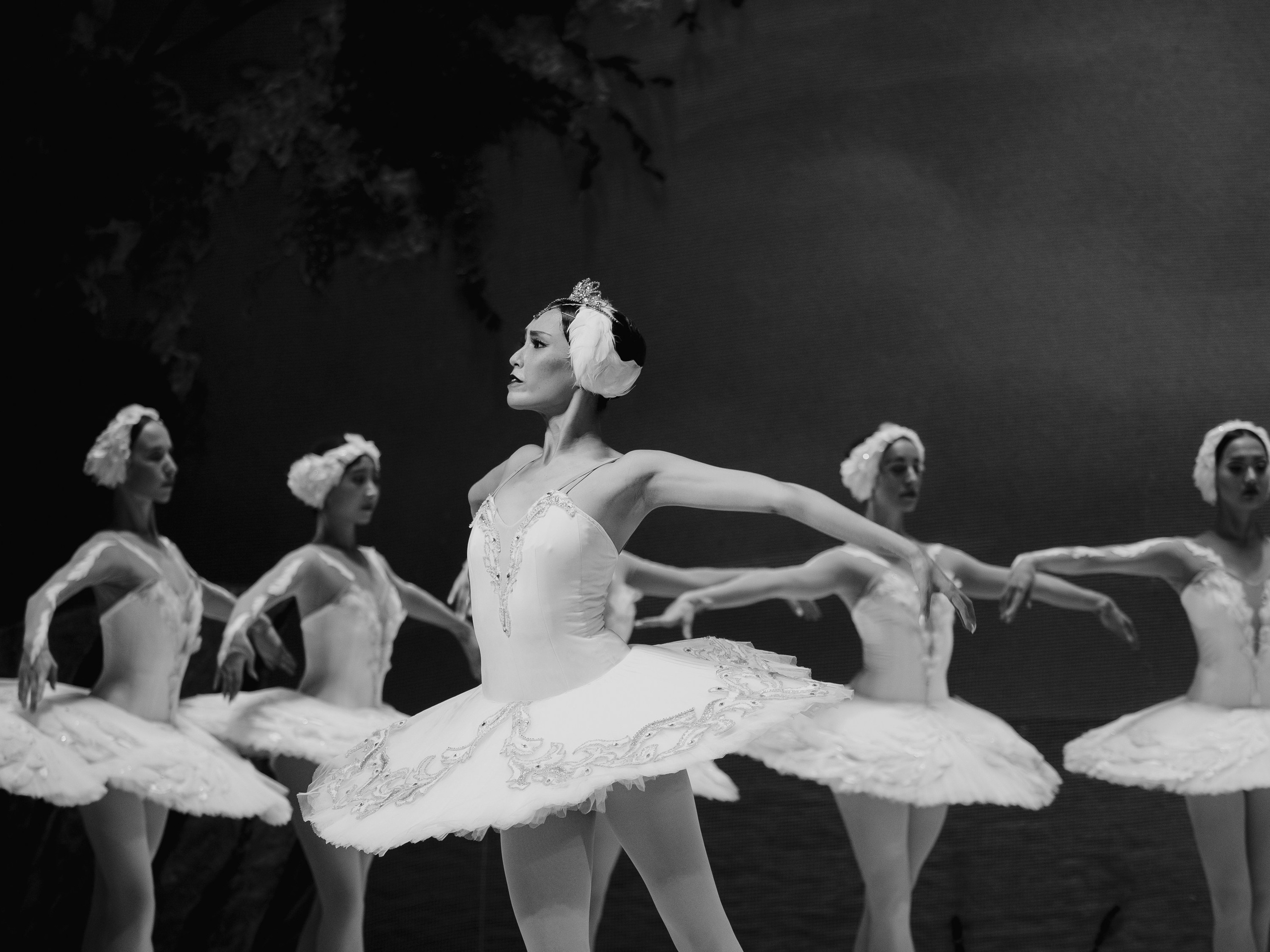 Балет «Лебединое озеро». Маруся Машкова • Фотограф в Москве