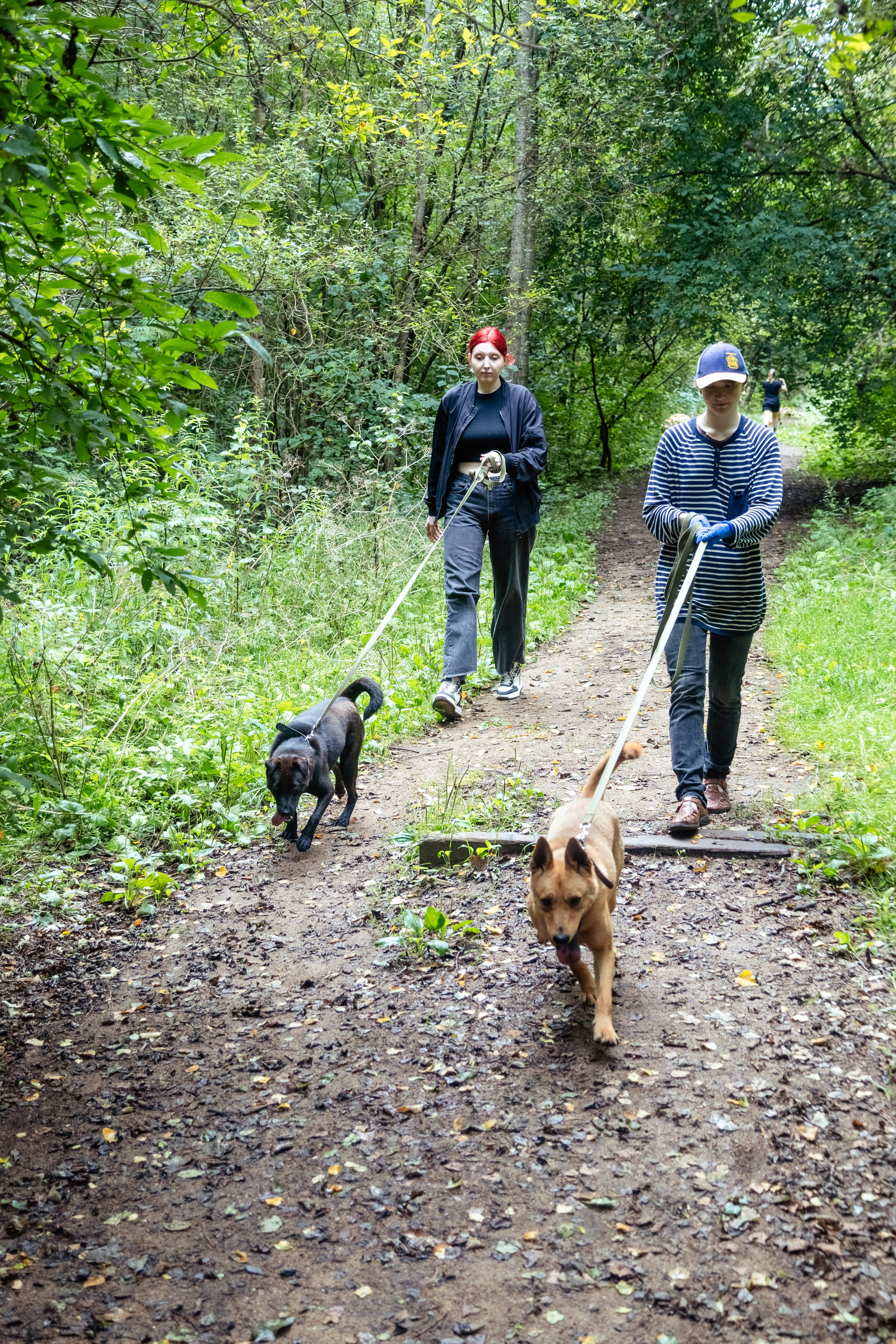 Petshop Забота. Фотограф в Санкт-Петербурге Чумаков Семен