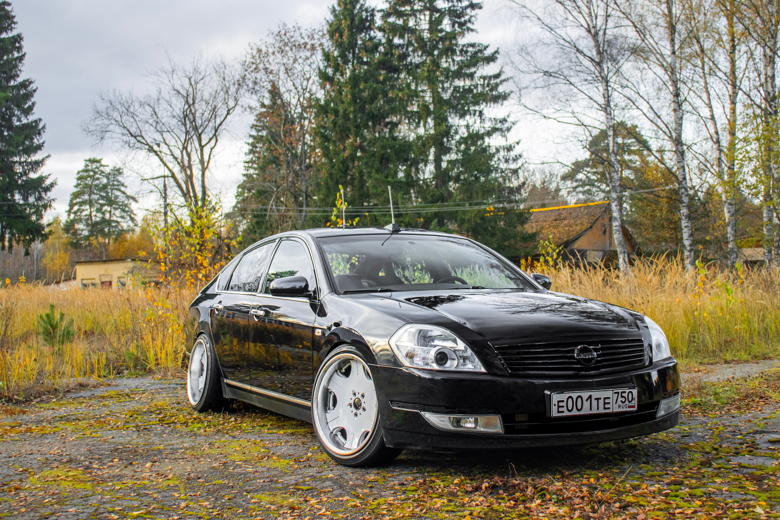 Kia ceed & Nissan Teana J31