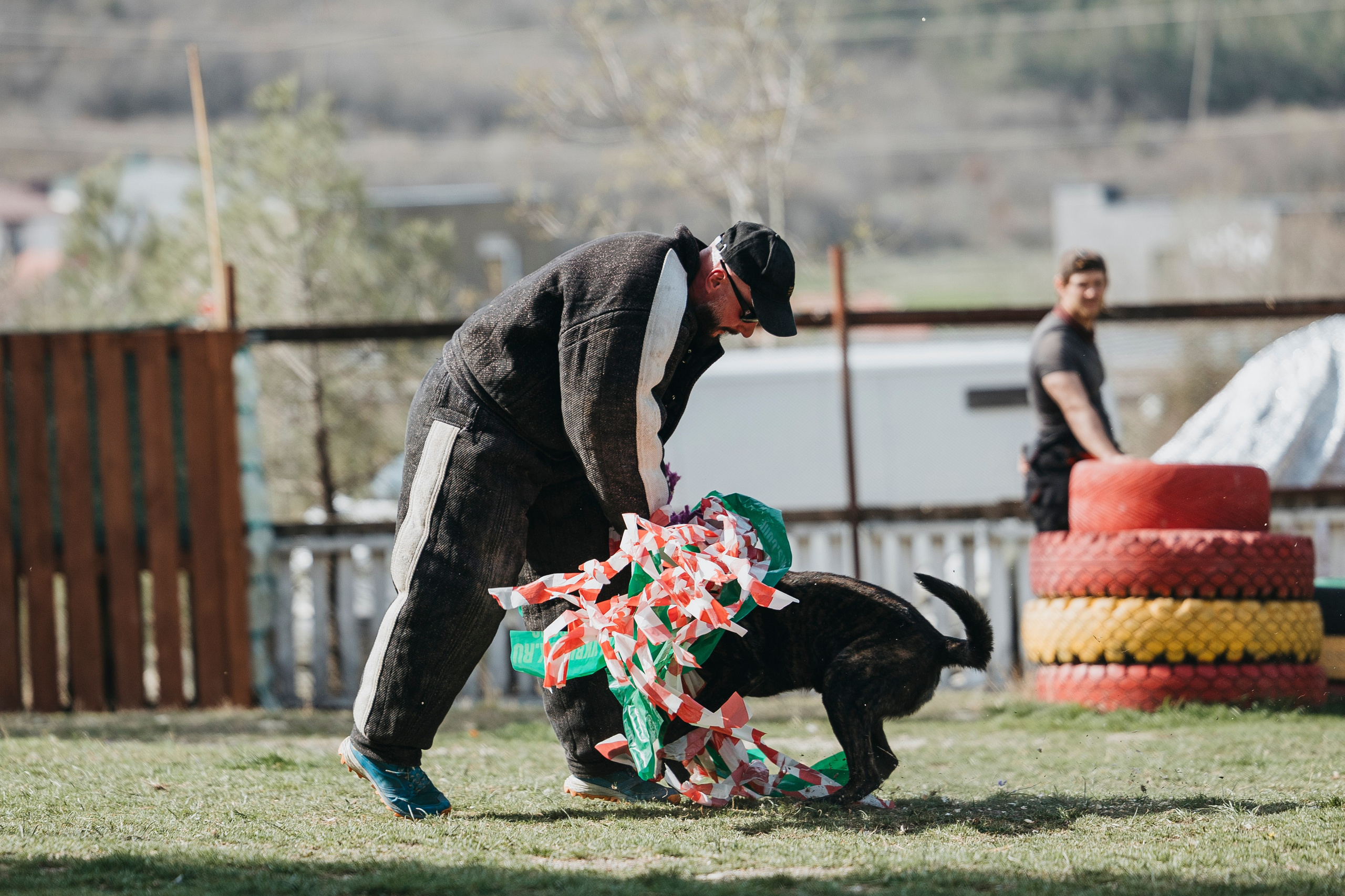 Геленджик Мондьоринг. Фотограф-анималист Анна Маринич