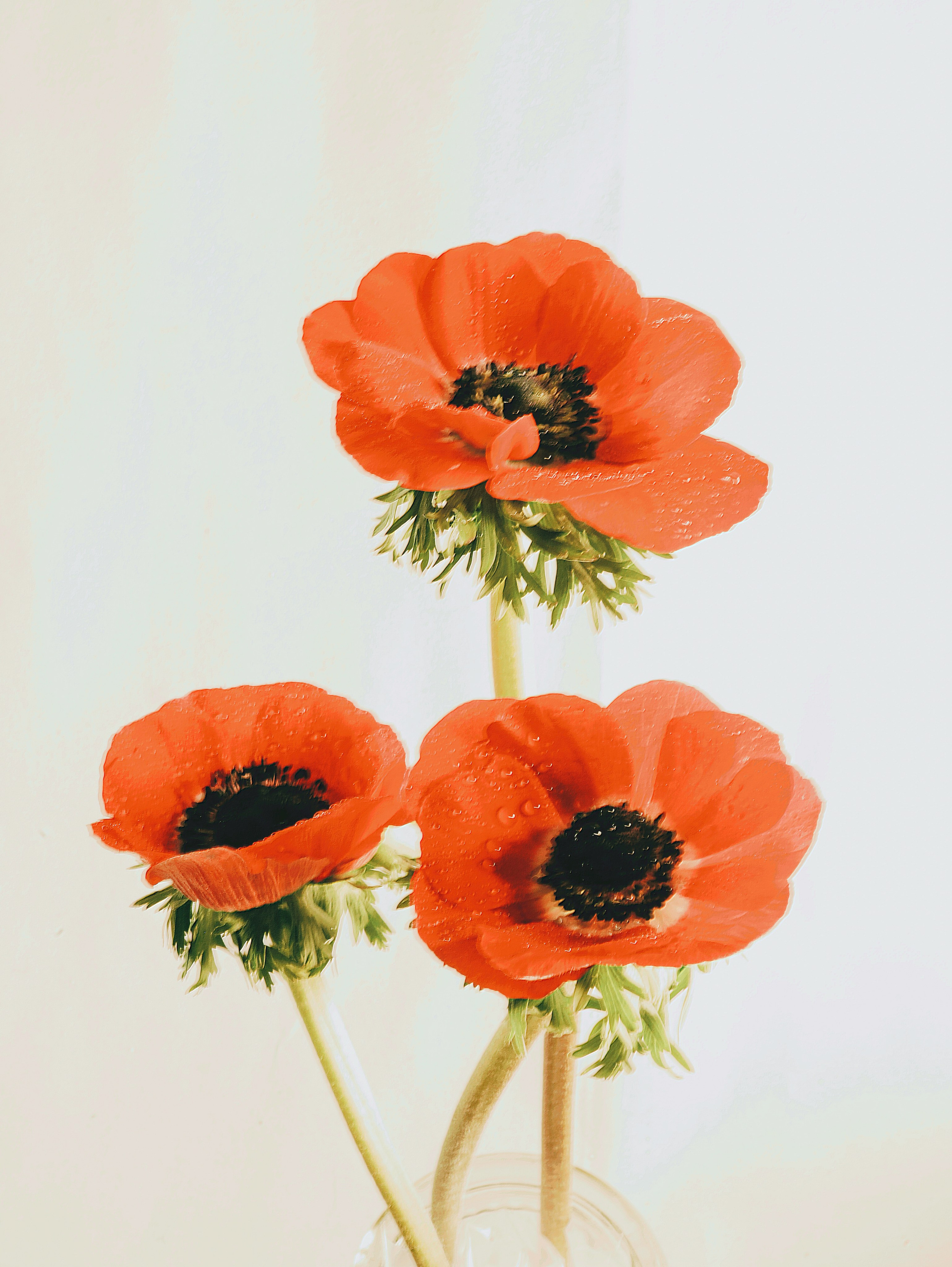 Природа &. Фотохудожник в СПб