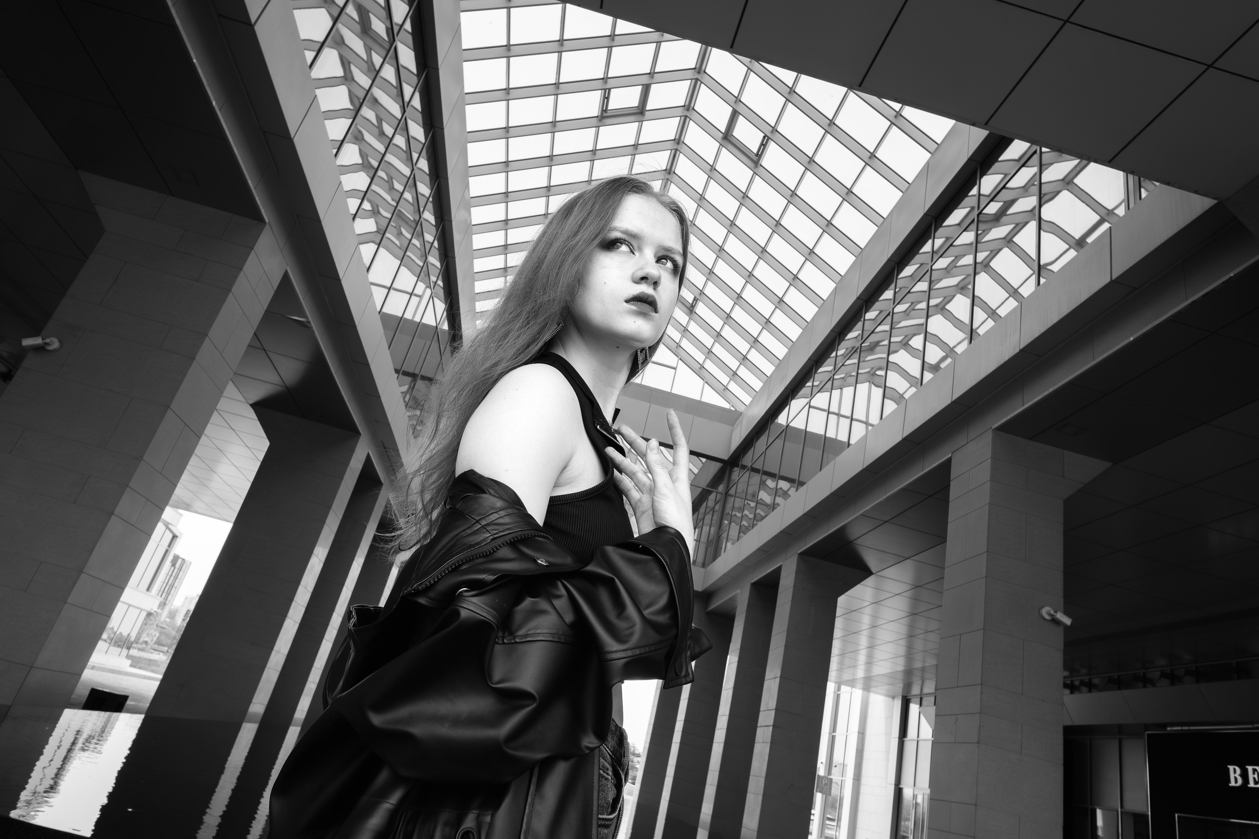 The grotesque. Aleksandr Schafft