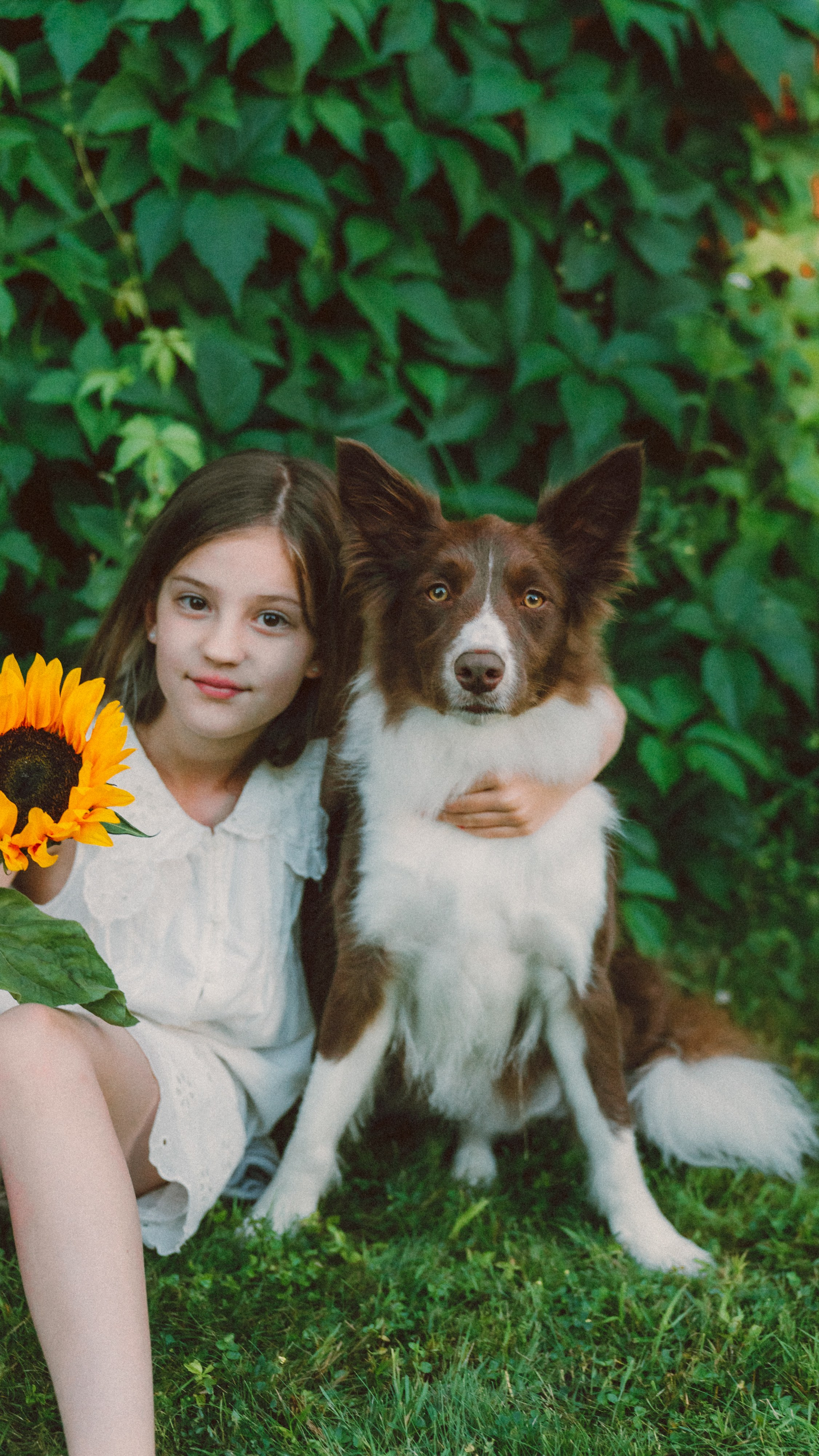 Елена, Валера, Маша и Иви. Фотограф анималист в Москве и Санкт-Петербурге Свиридова Анна