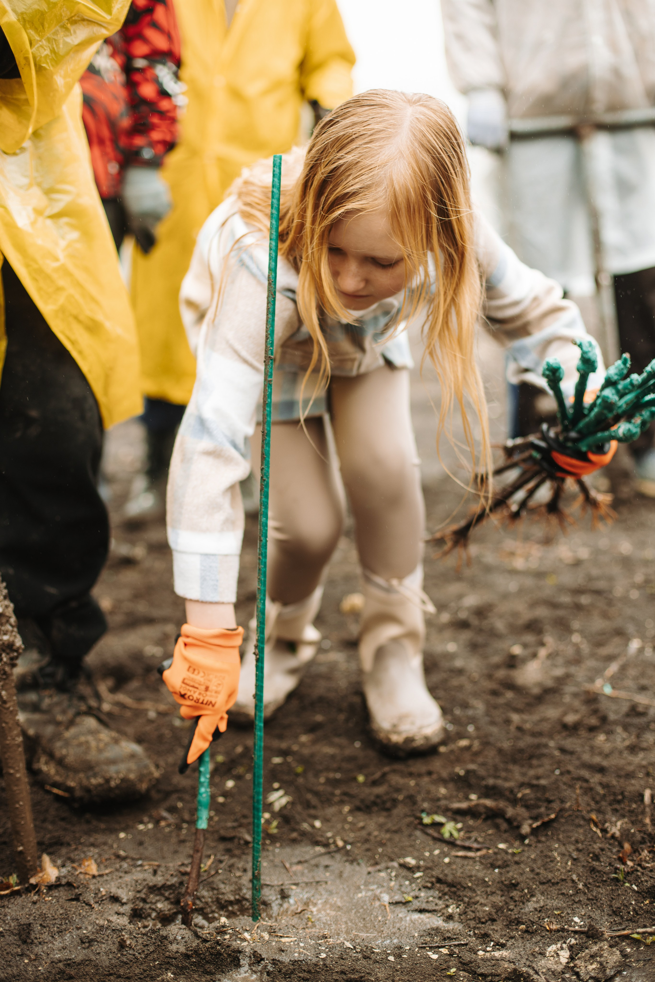 Lion Wine. Фотограф на Юге России