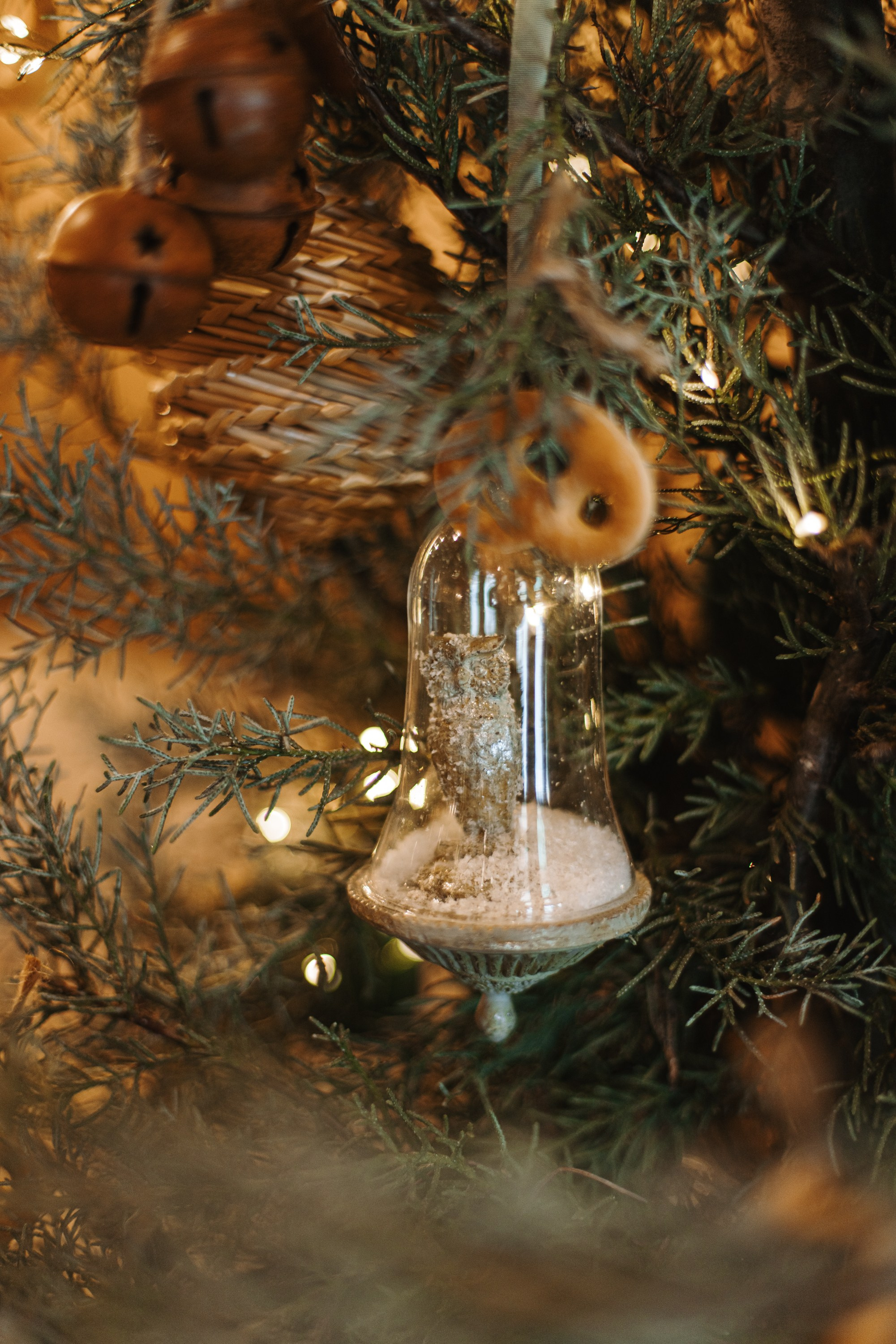 Adrian Bistro. Фотограф на Юге России