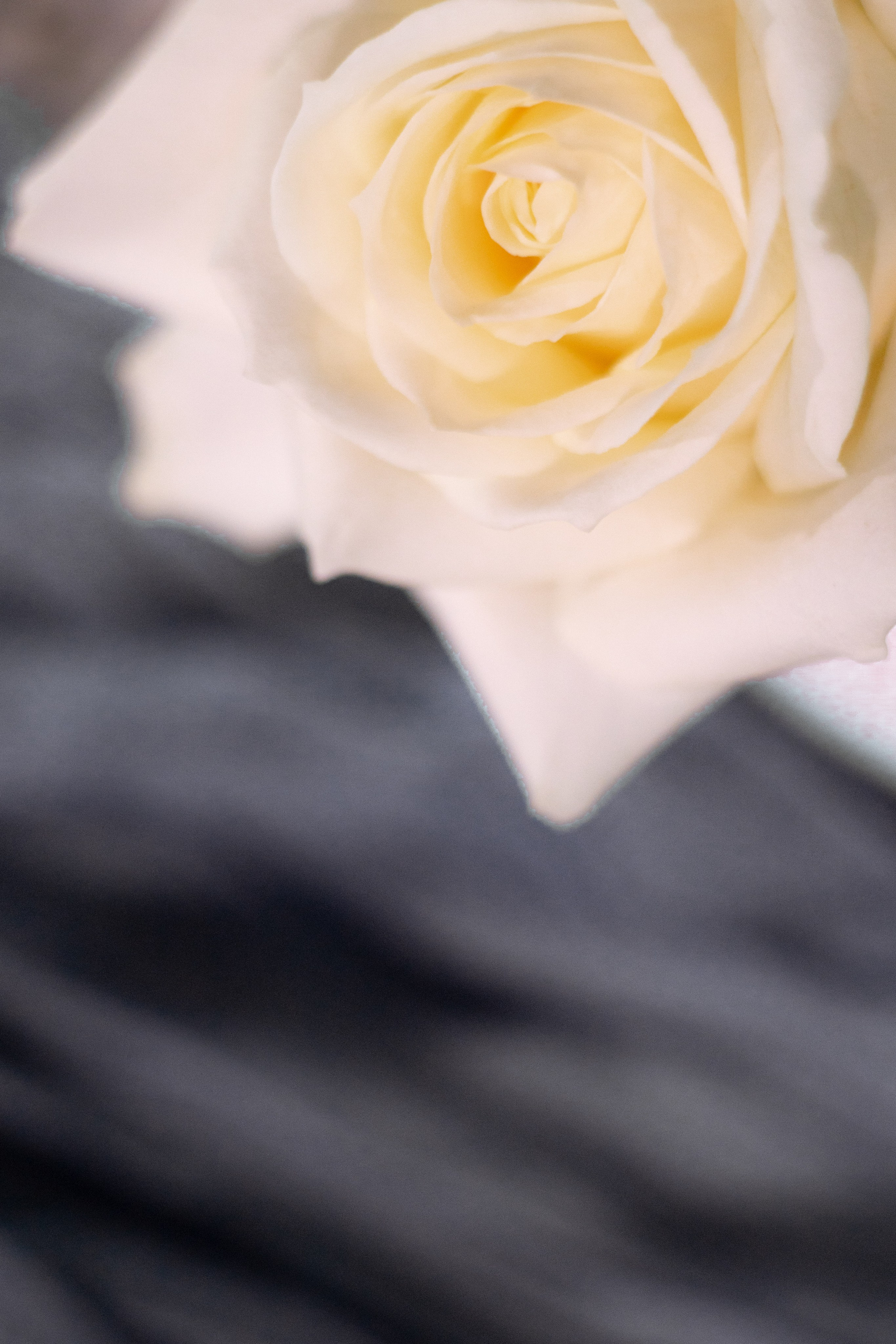 Анастасия & Никита. Оформление свадеб, декор свадеб Вера Маркова, Москва