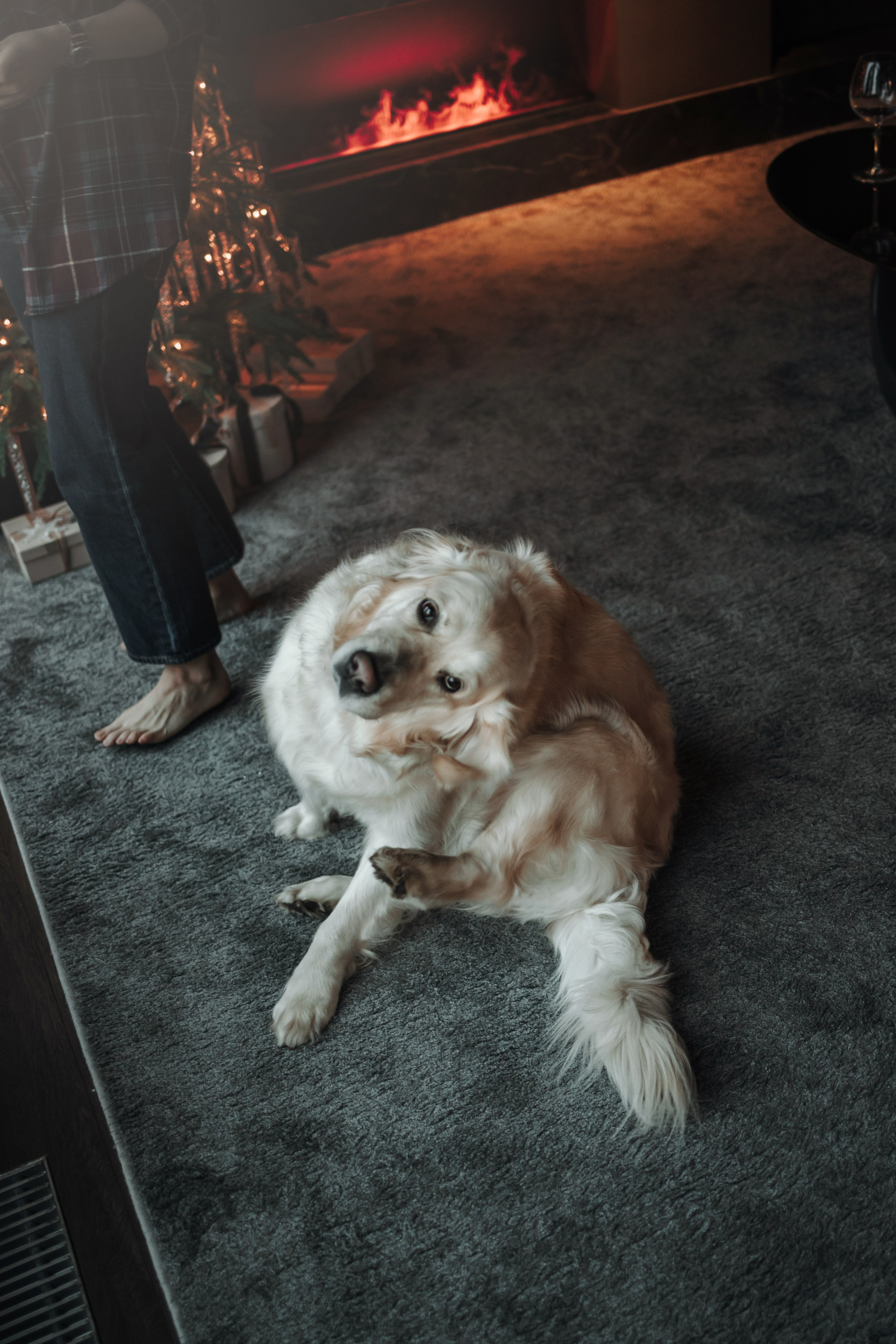 Вика и Рози. Фотограф — Анималист | Санкт-Петербург