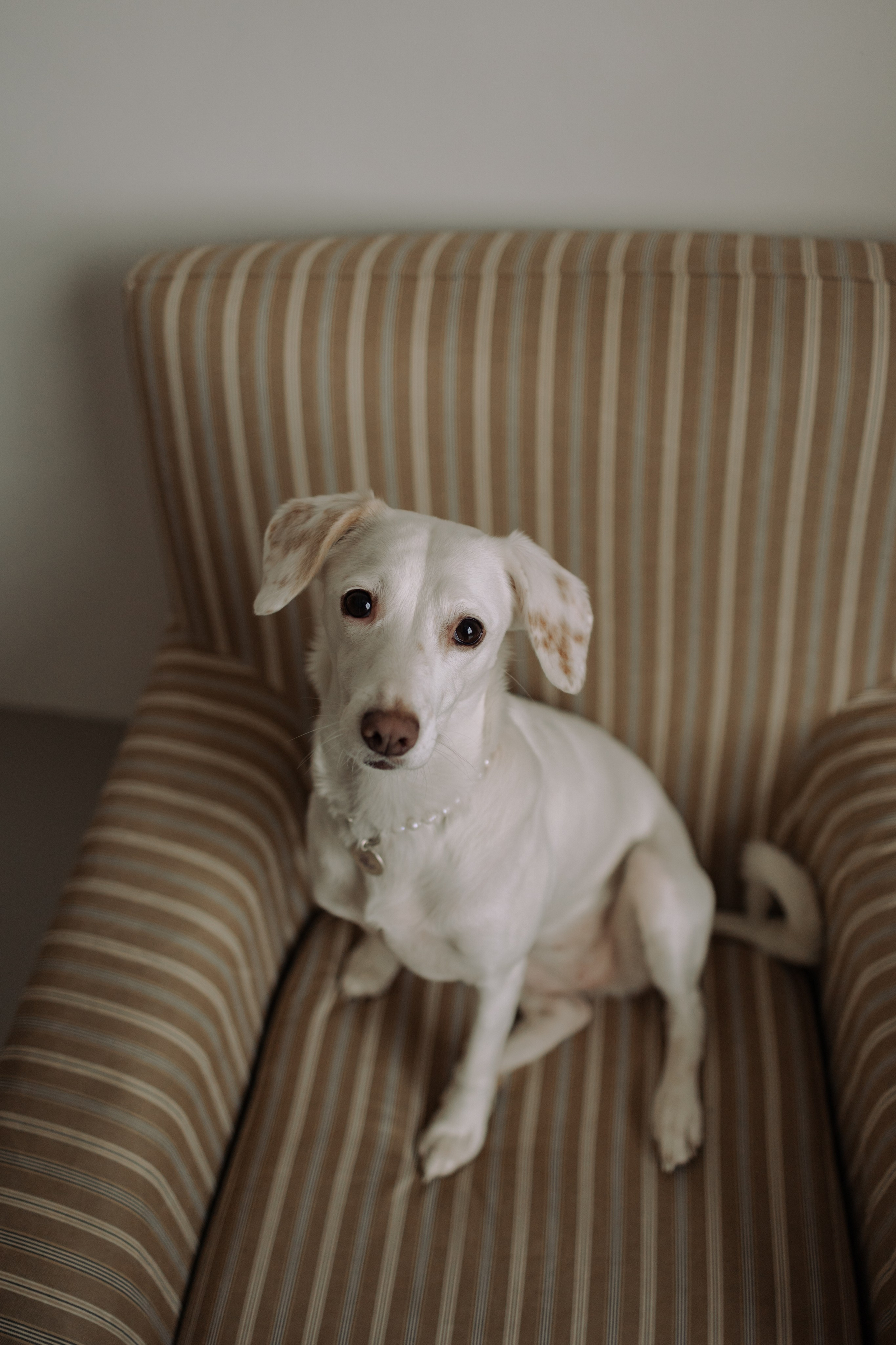 Луна и ее семья. Фотограф — Анималист | Санкт-Петербург