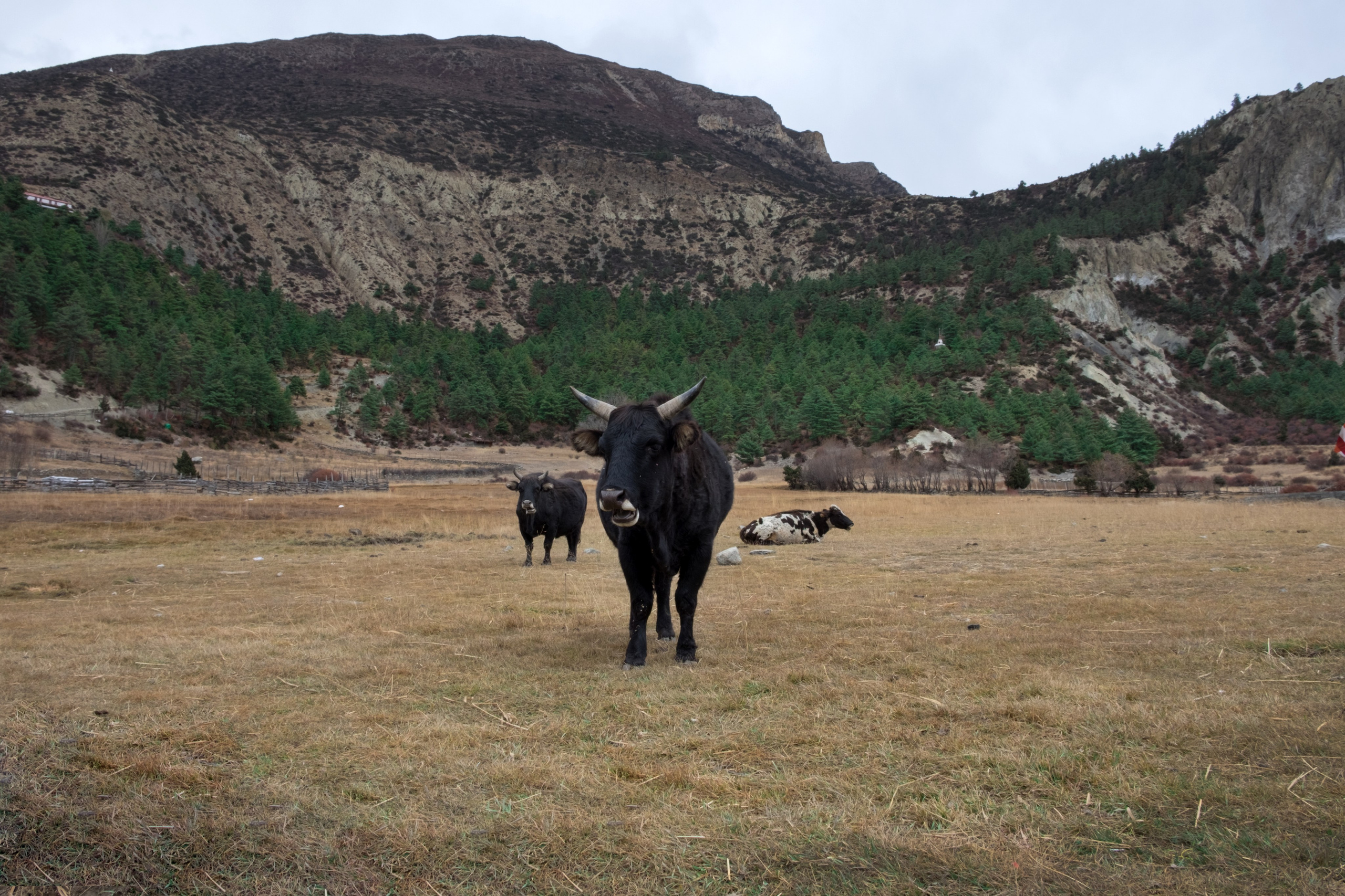 Непал. Фотограф в Москве, в Самаре Инна Мамонова