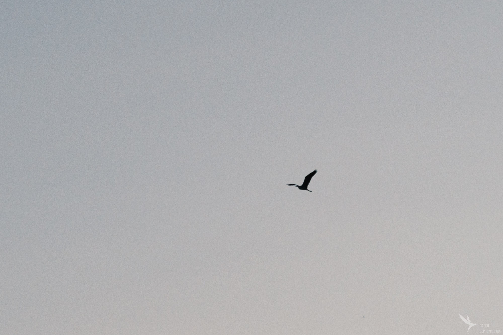 Вечер современной хореографии на набережной озера Кабан. Репортажный фотограф в Казани Павел Серпокрылов