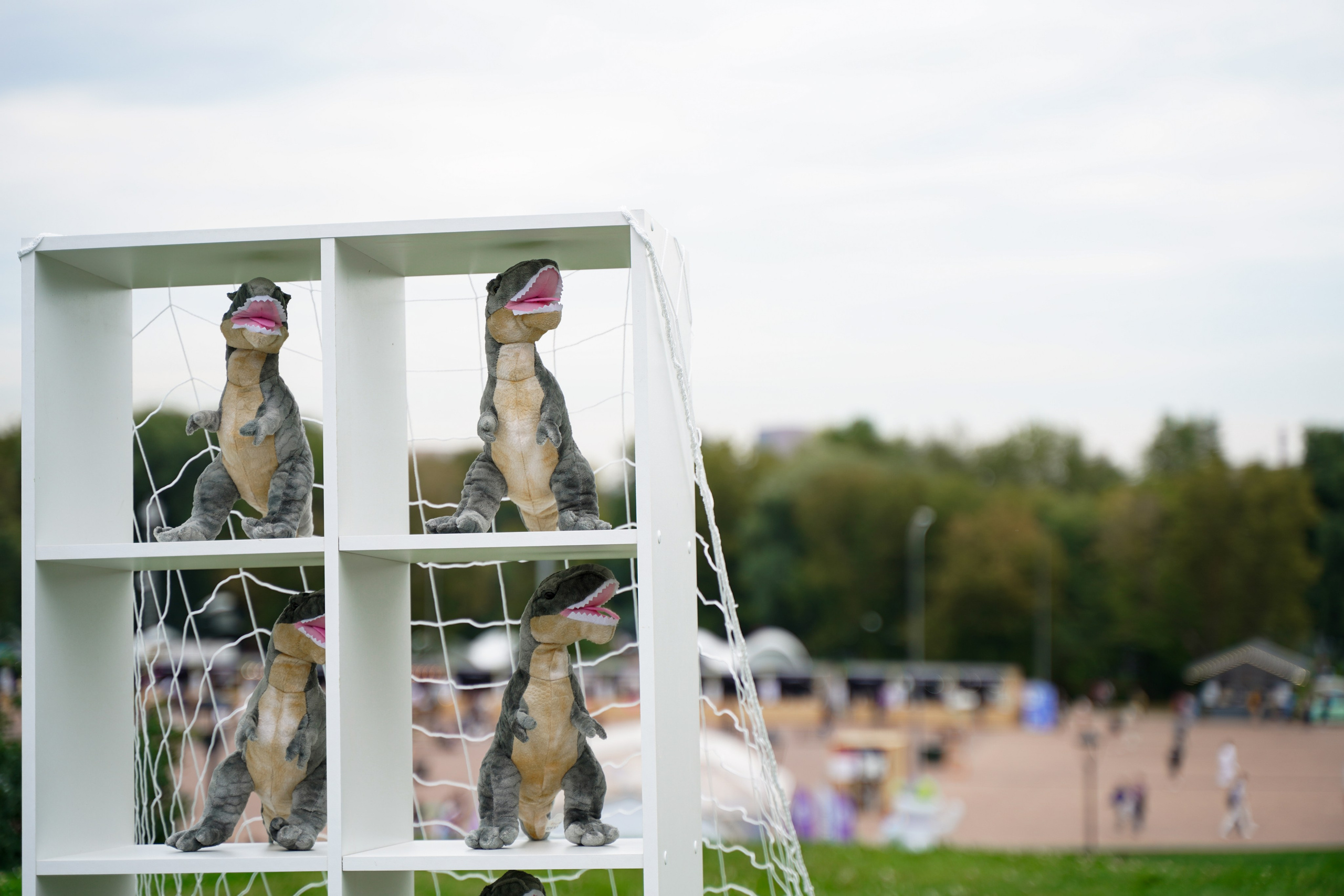 ИТ-пикнит от Т-банка. Свадебный фотограф Москва, Санкт-Петербург