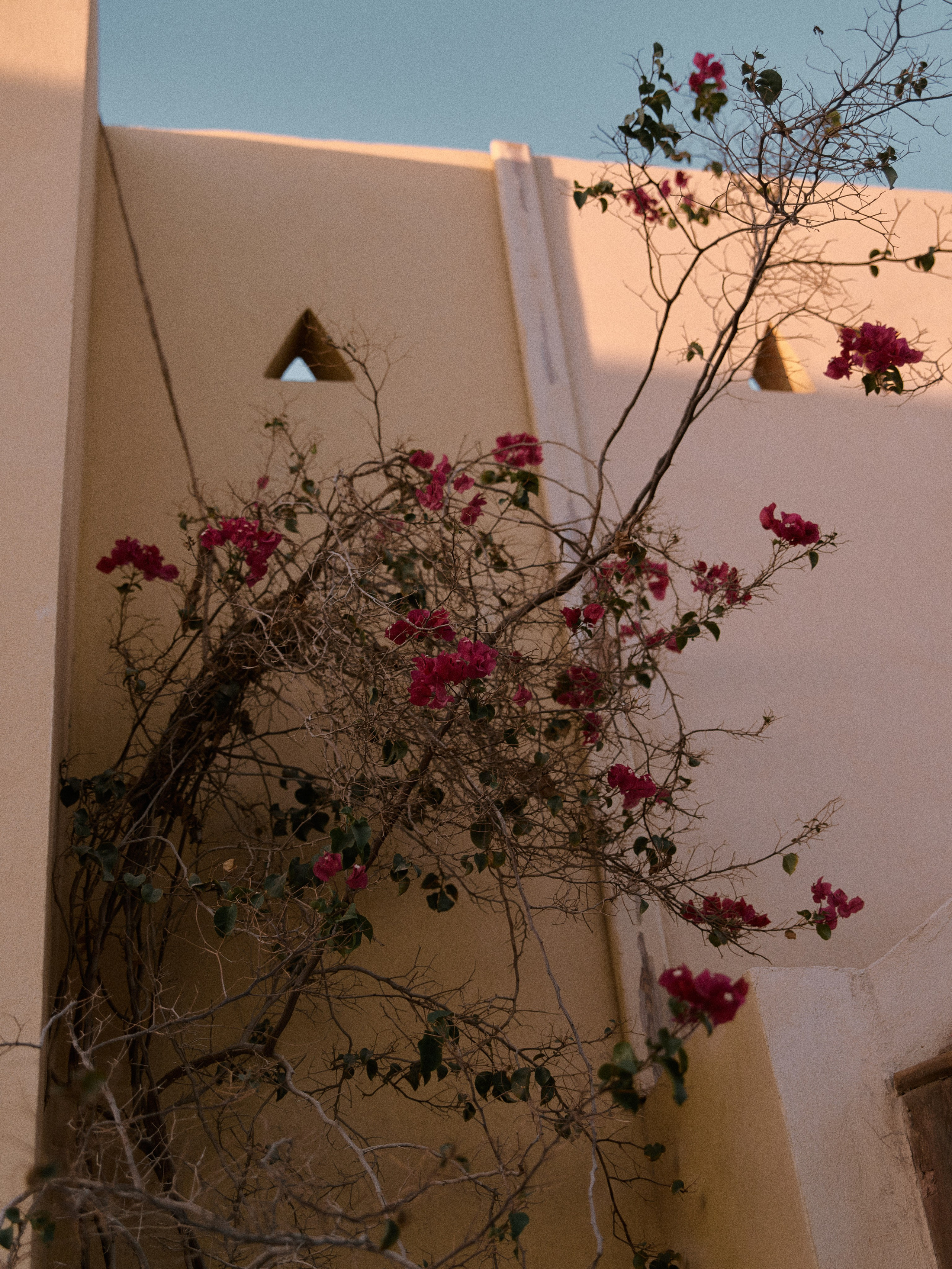 Природа сквозь. Jorgis Talè — photographer, kind person, teacher of arts and other mag