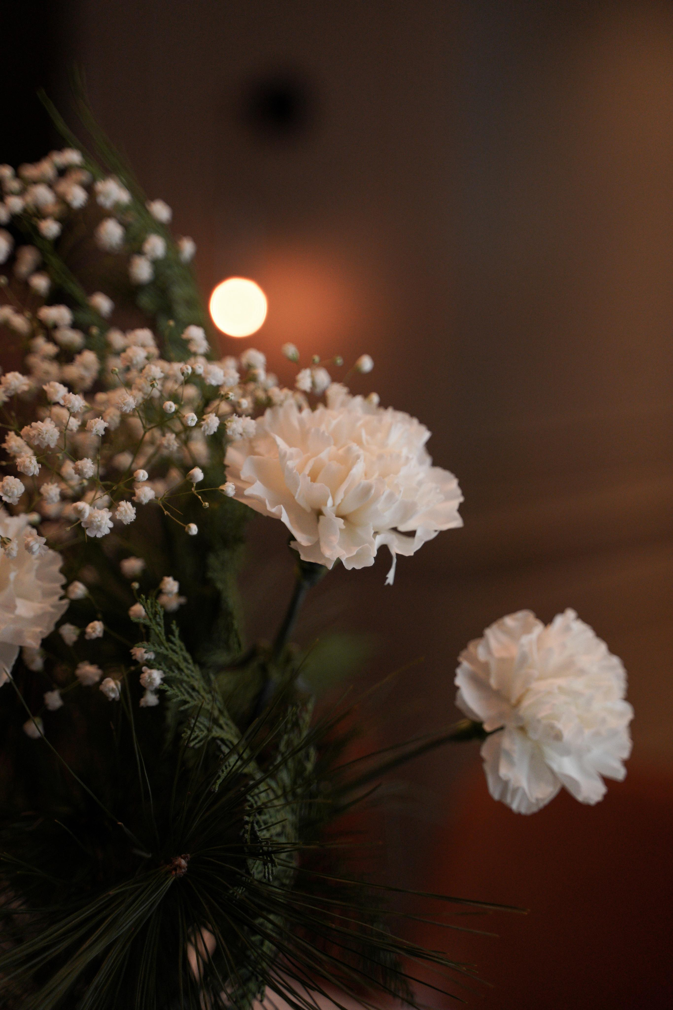 Надежда и Дмитрий. Свадебный фотограф Марина Попова