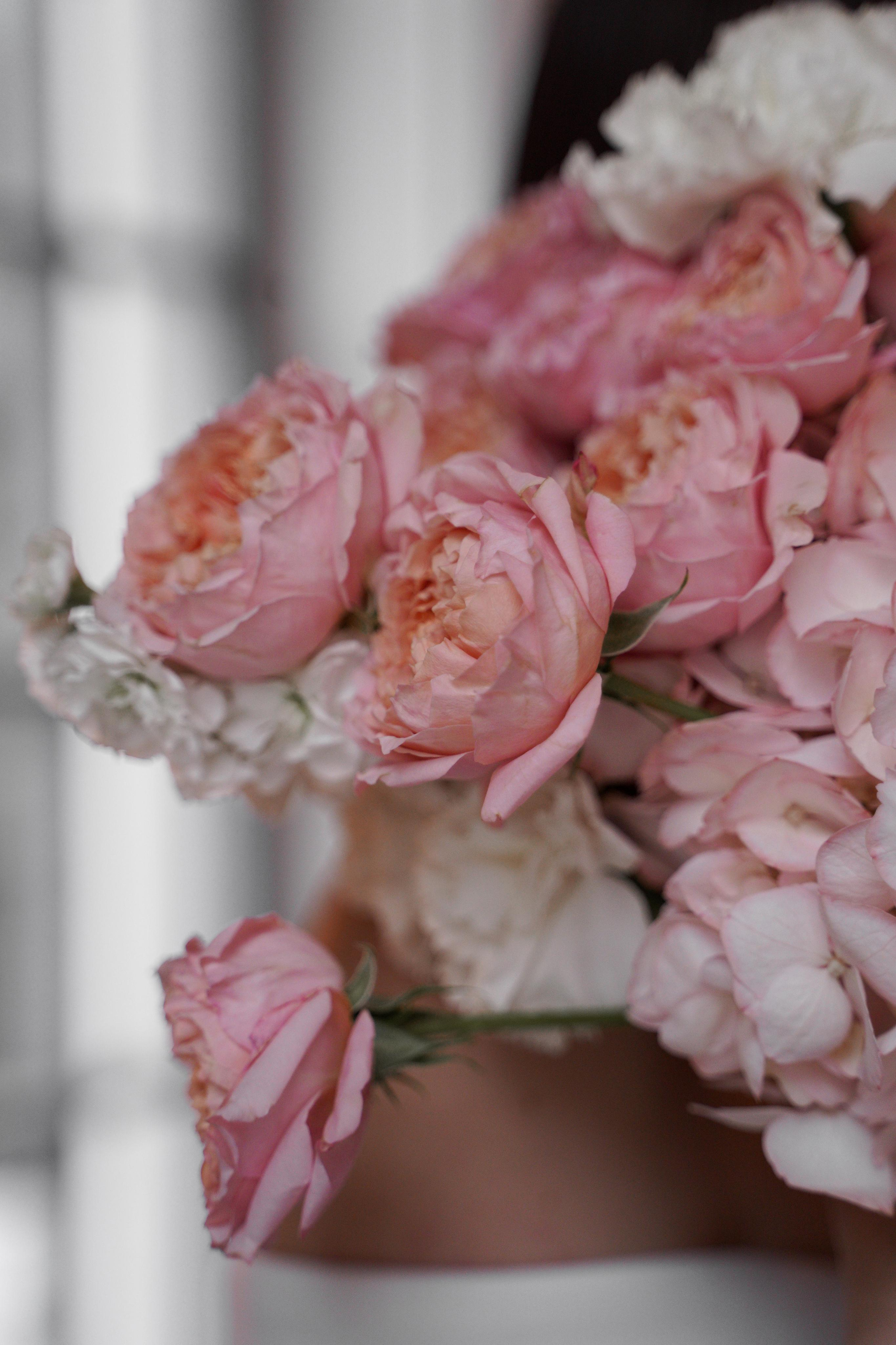 Надежда и Дмитрий. Свадебный фотограф Марина Попова