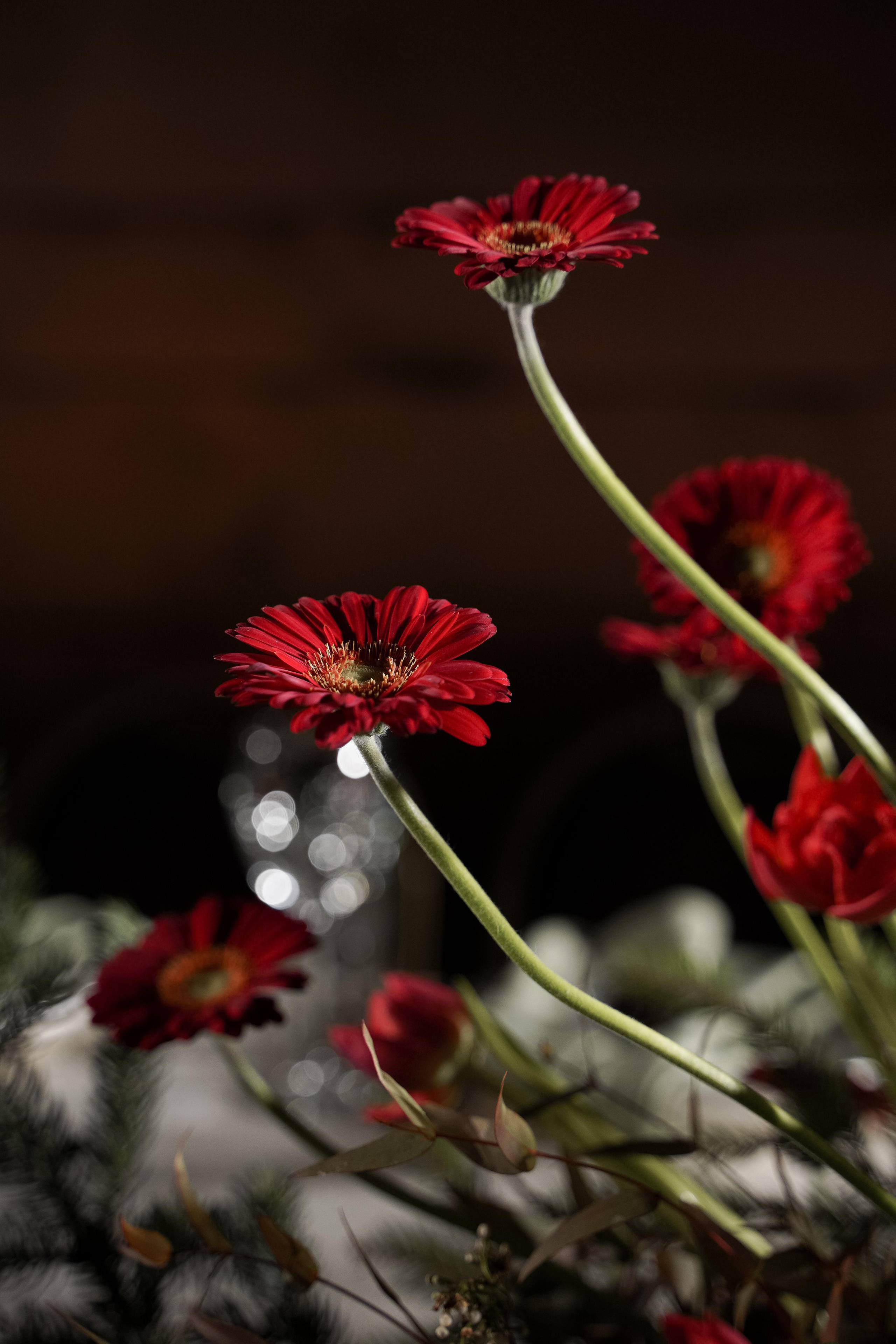 Валентина и Глеб. Свадебный фотограф Марина Попова