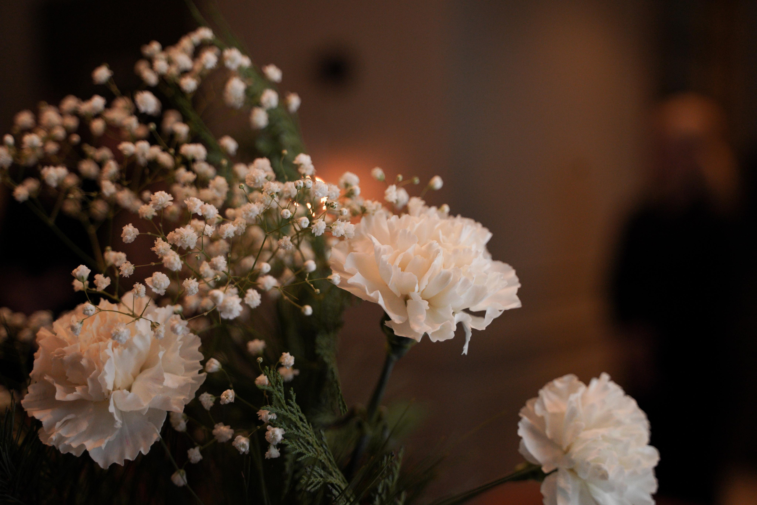 Надежда и Дмитрий. Свадебный фотограф Марина Попова