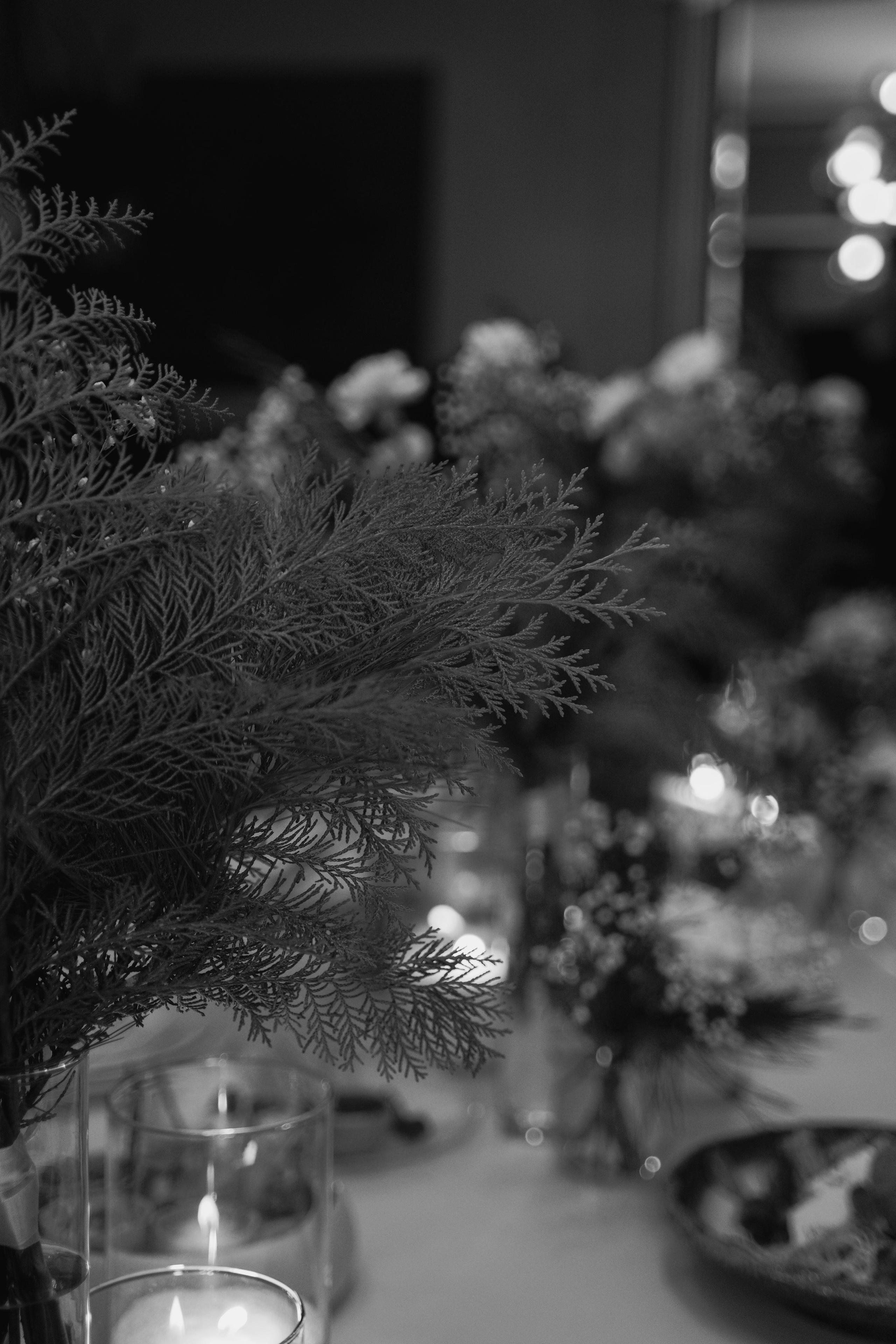 Надежда и Дмитрий. Свадебный фотограф Марина Попова