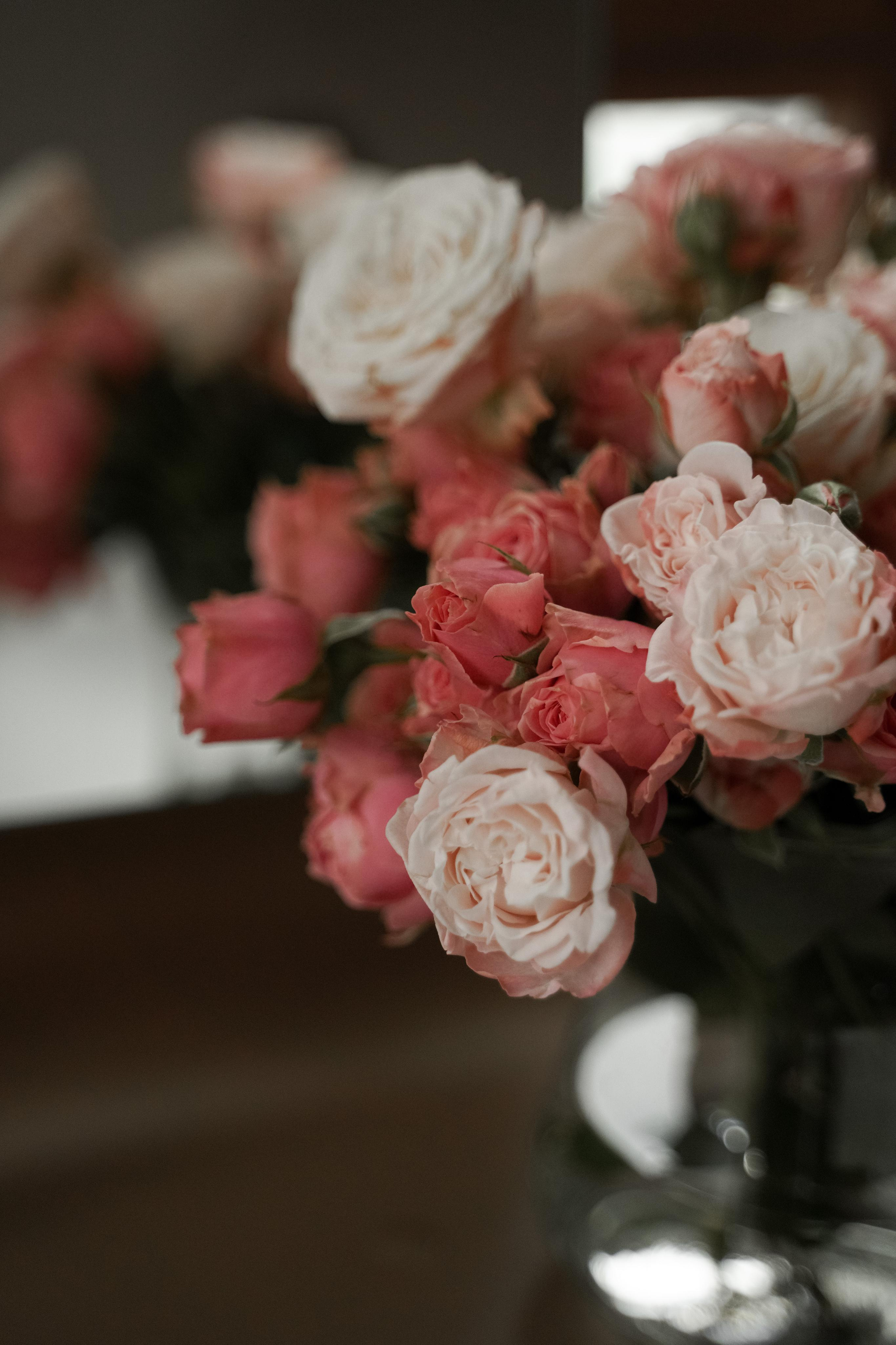 Альман и Патрик. Свадебный фотограф Марина Попова