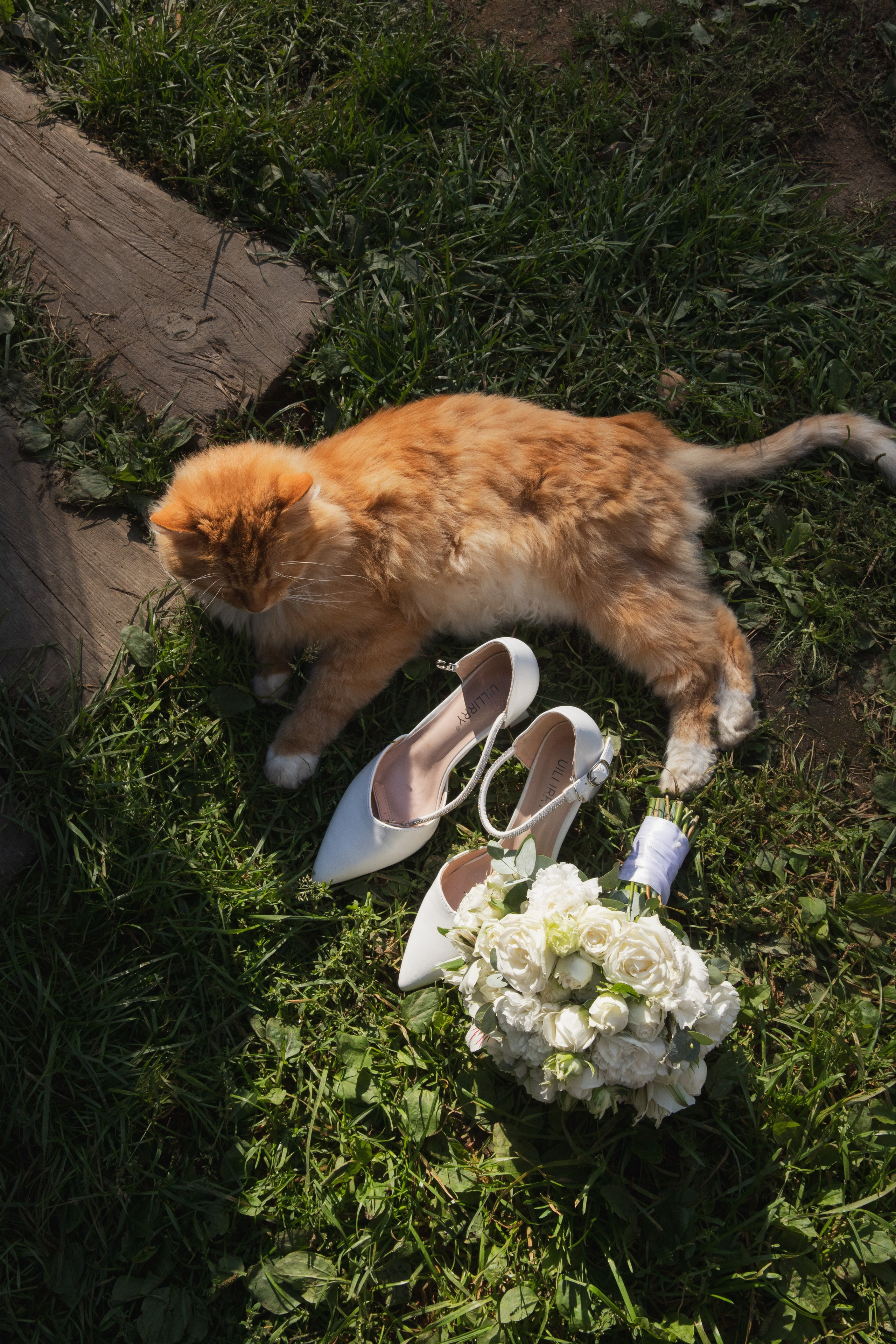 Артём и Ангелина Пешково. Свадебный и портретный фотограф в Москве Мария Кравченко