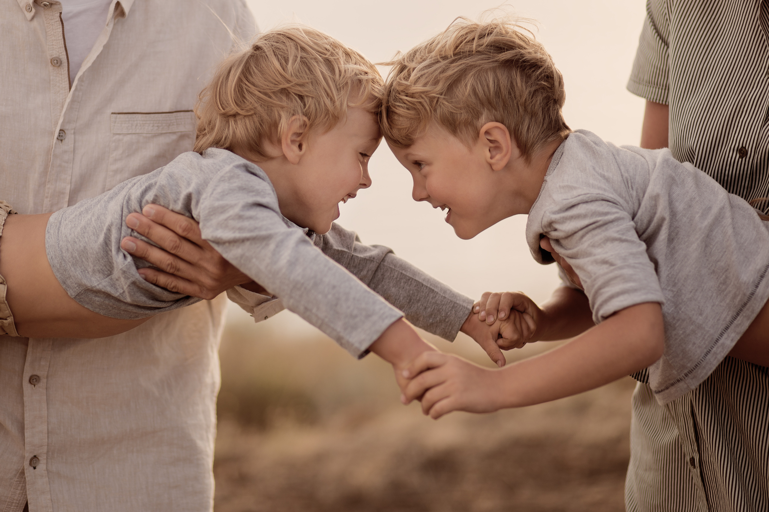 семья Старковых