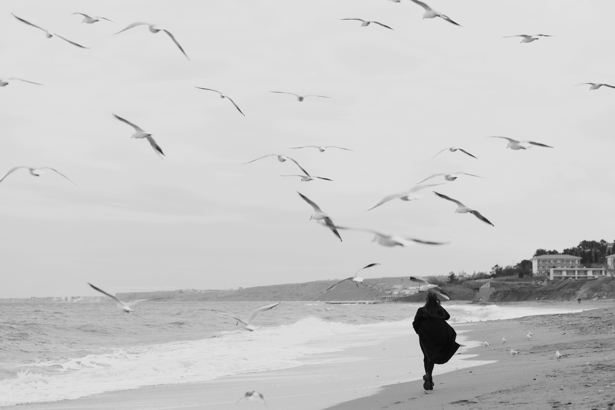 Анастасия. Семейный и свадебный фотограф в Крыму и в Севастополе Сазонова Эля