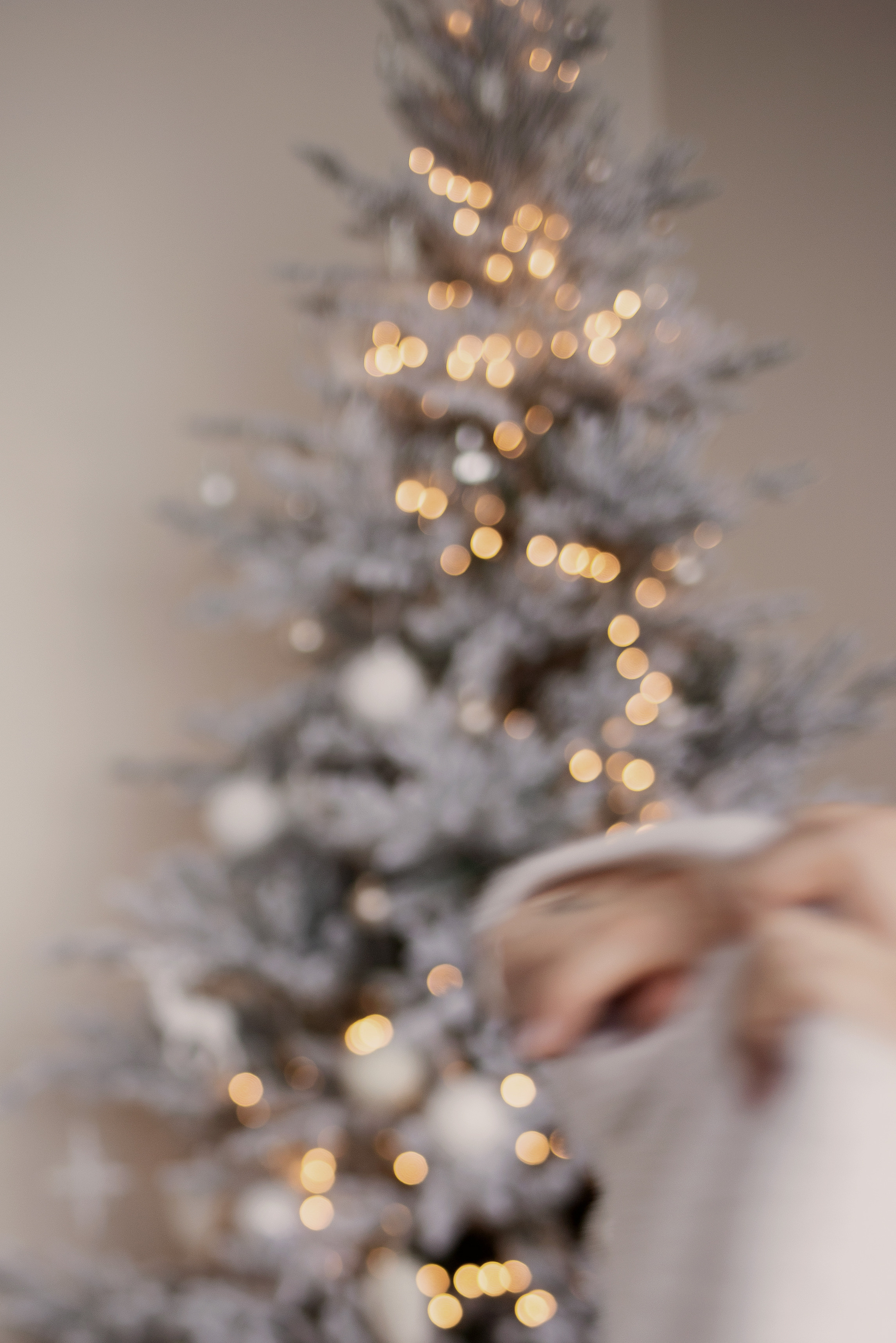 Екатерина. Семейный и свадебный фотограф в Крыму и в Севастополе Сазонова Эля