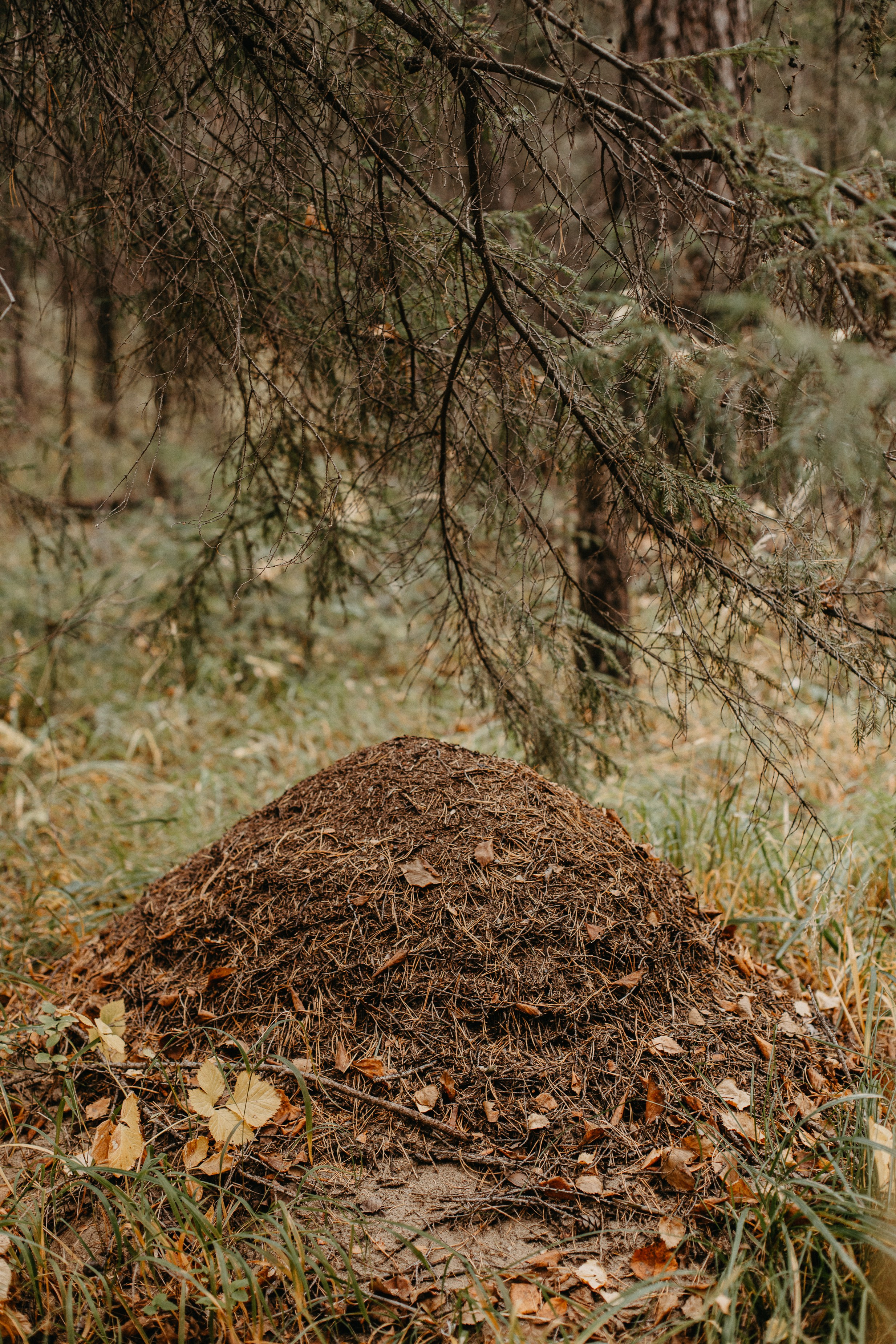 Семь Братьев. Семейный фотограф Трусова Евгения в Екатеринбурге