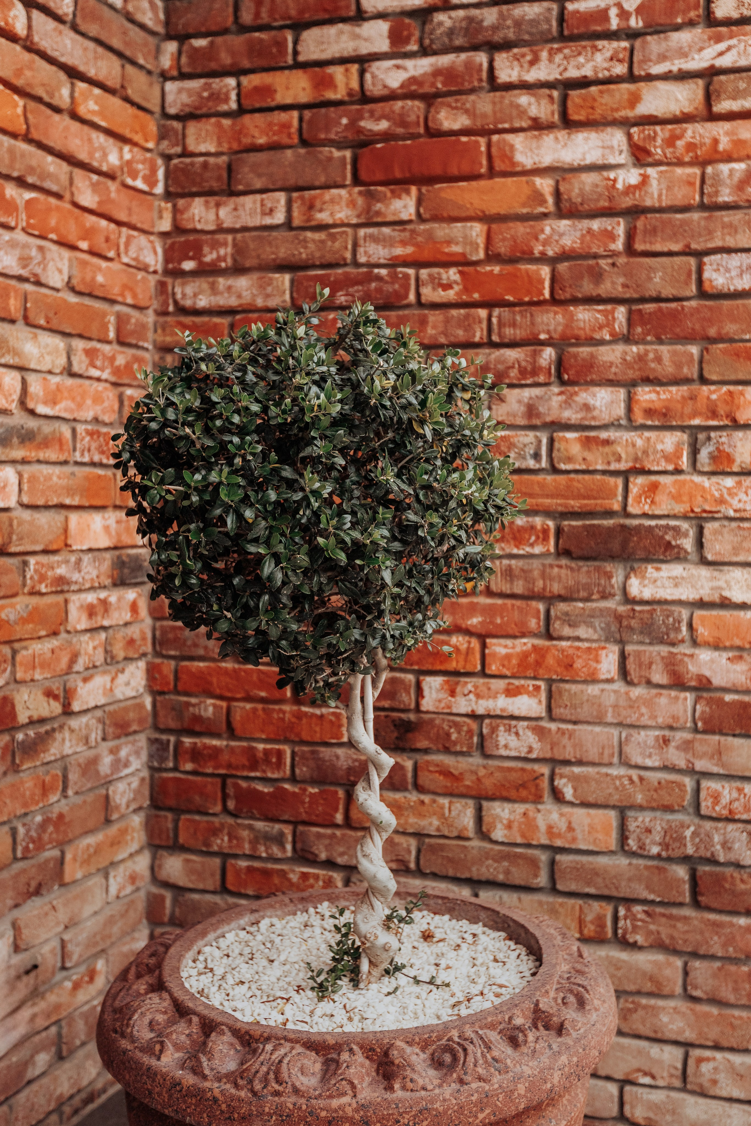 LOFT AFON. Семейный фотограф на крещение и венчание