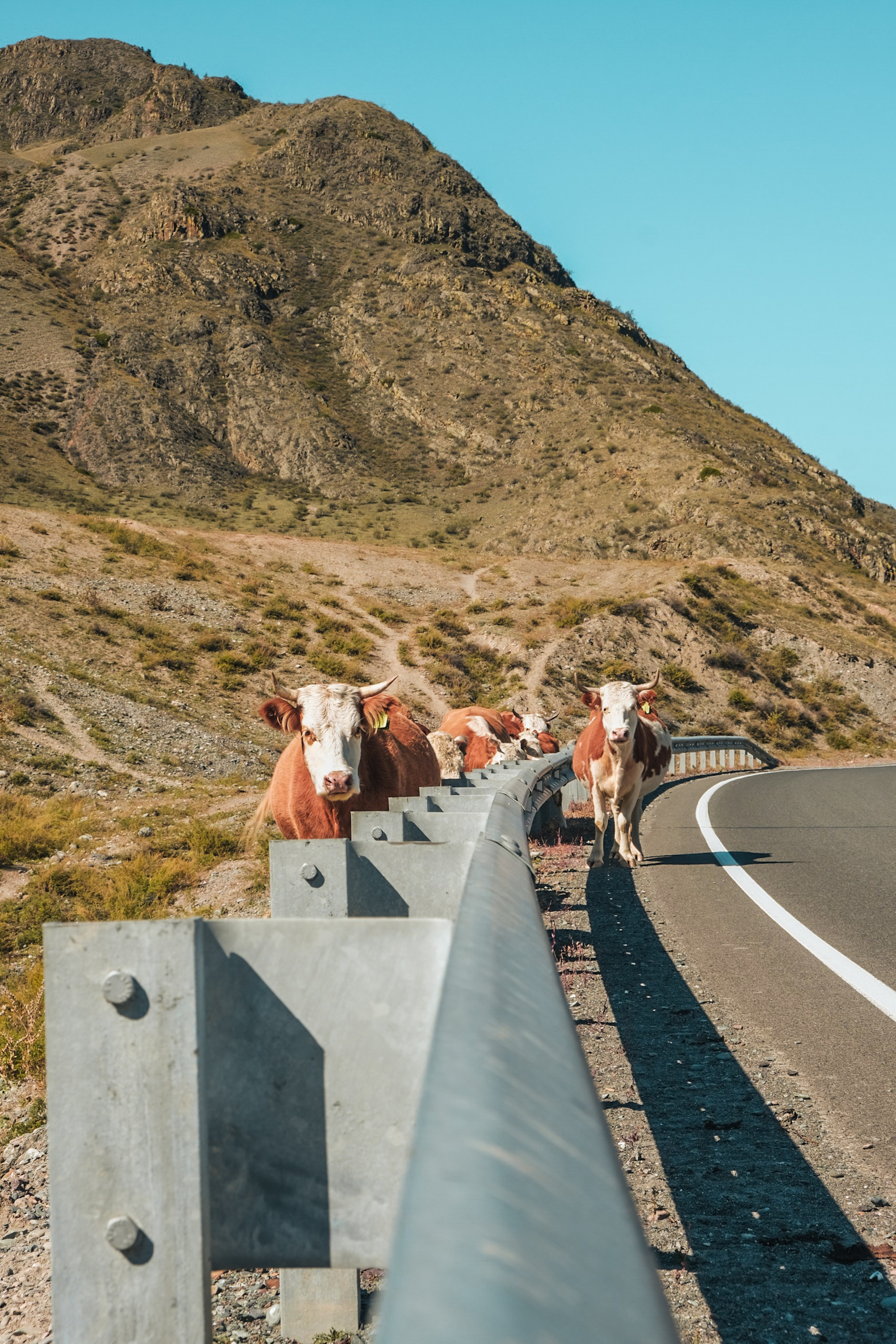 Altai 21'. Фотограф в Тюмени Кирилл Марфин