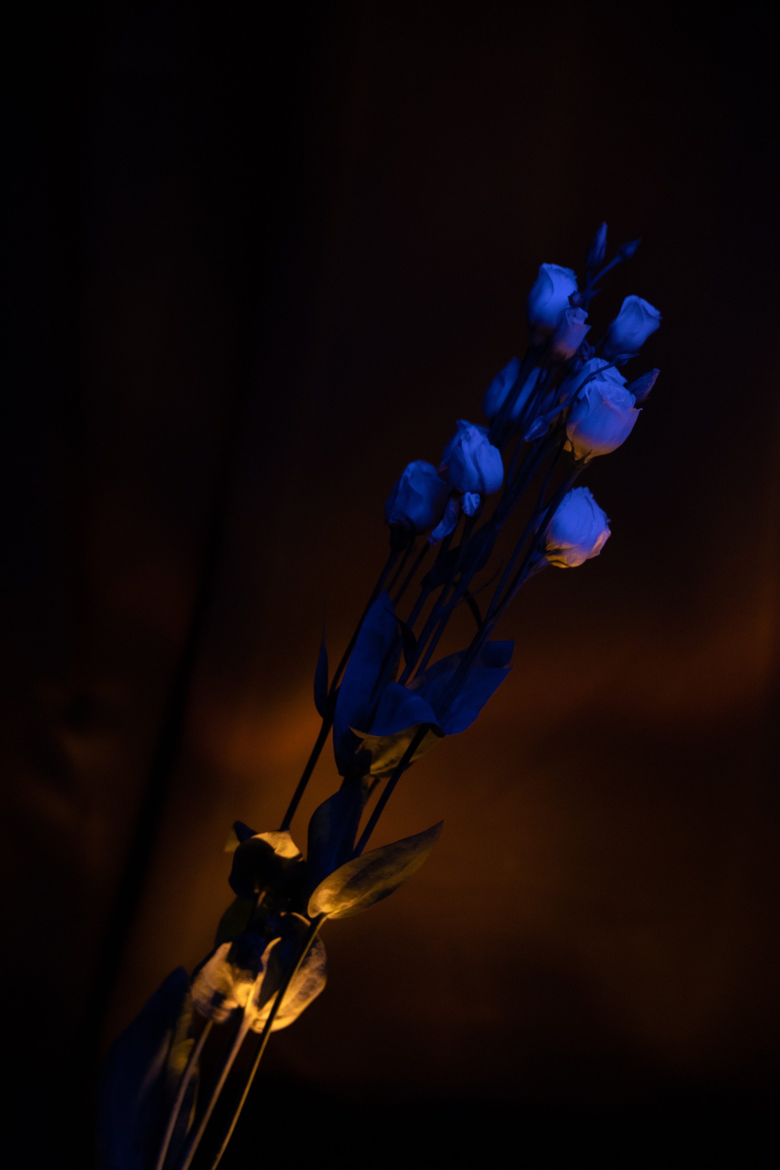 Дневник. Фотограф из Хакасии Элина Кичеева