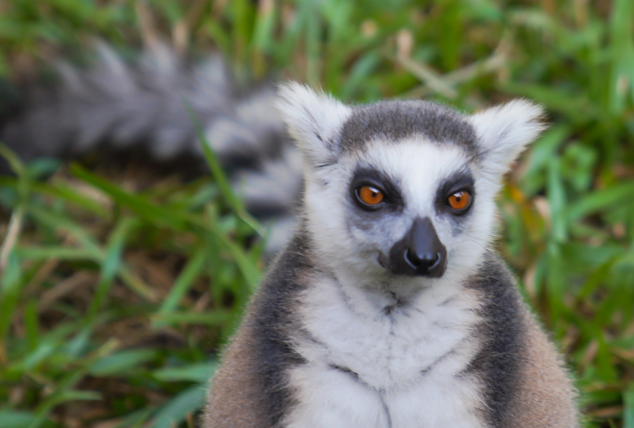 Остров Фукуок, Вьетнам. Фотограф Сергей Кишкель Дананг Нячанг Фукуок