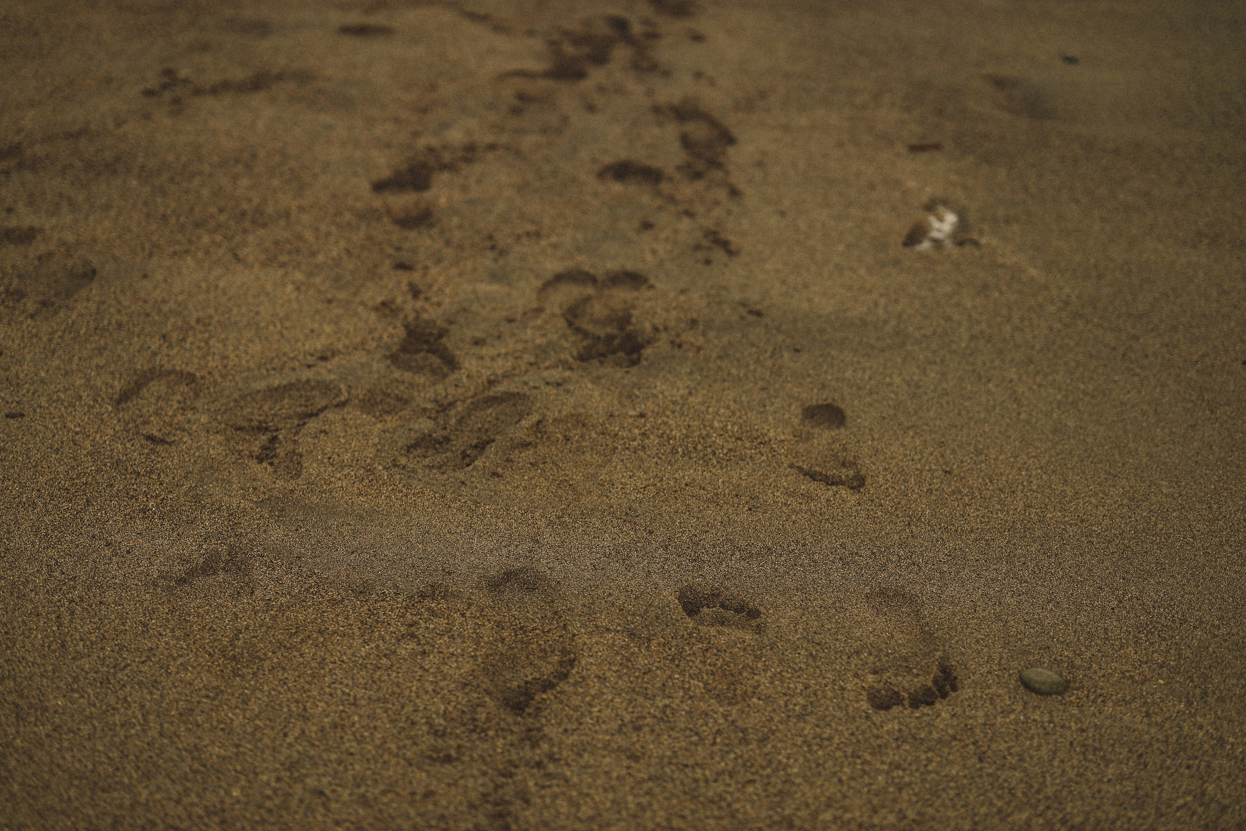 Love story на пляже Абхазии. Свадебный и семейный фотограф в Абхазии Жанна Соснина