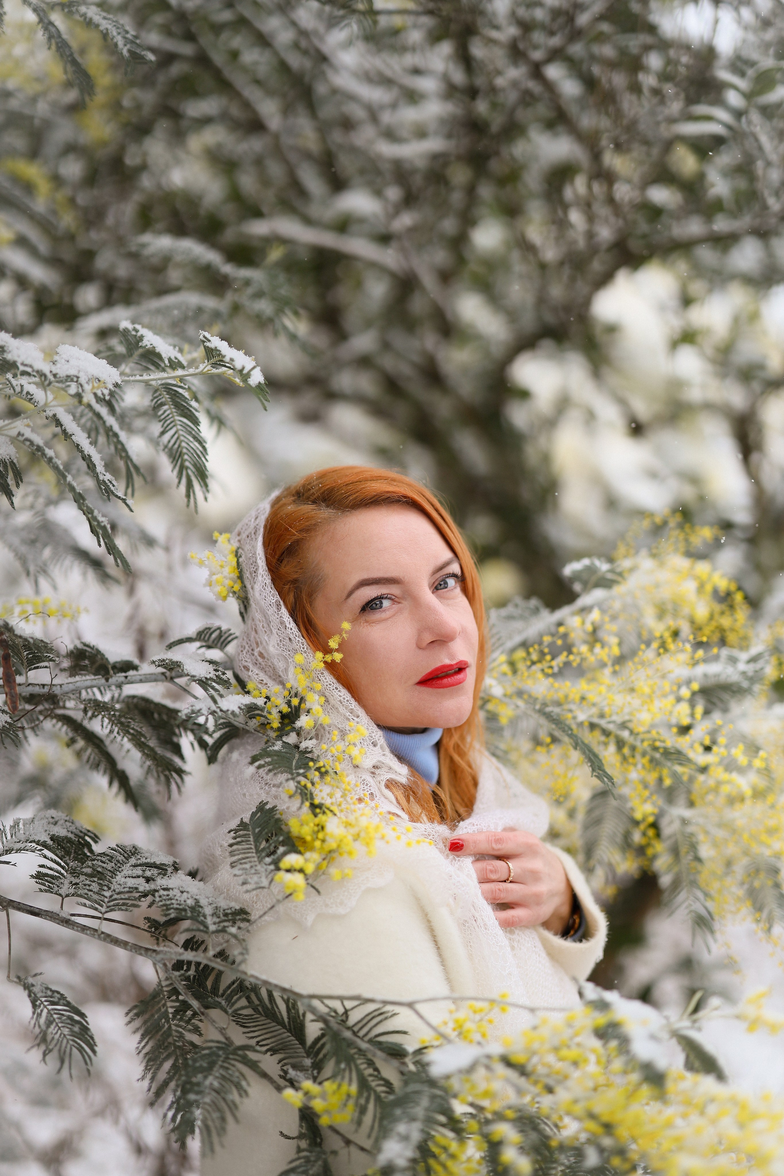 девушка в пуховом платке в снежном саду мимозы, Сухум