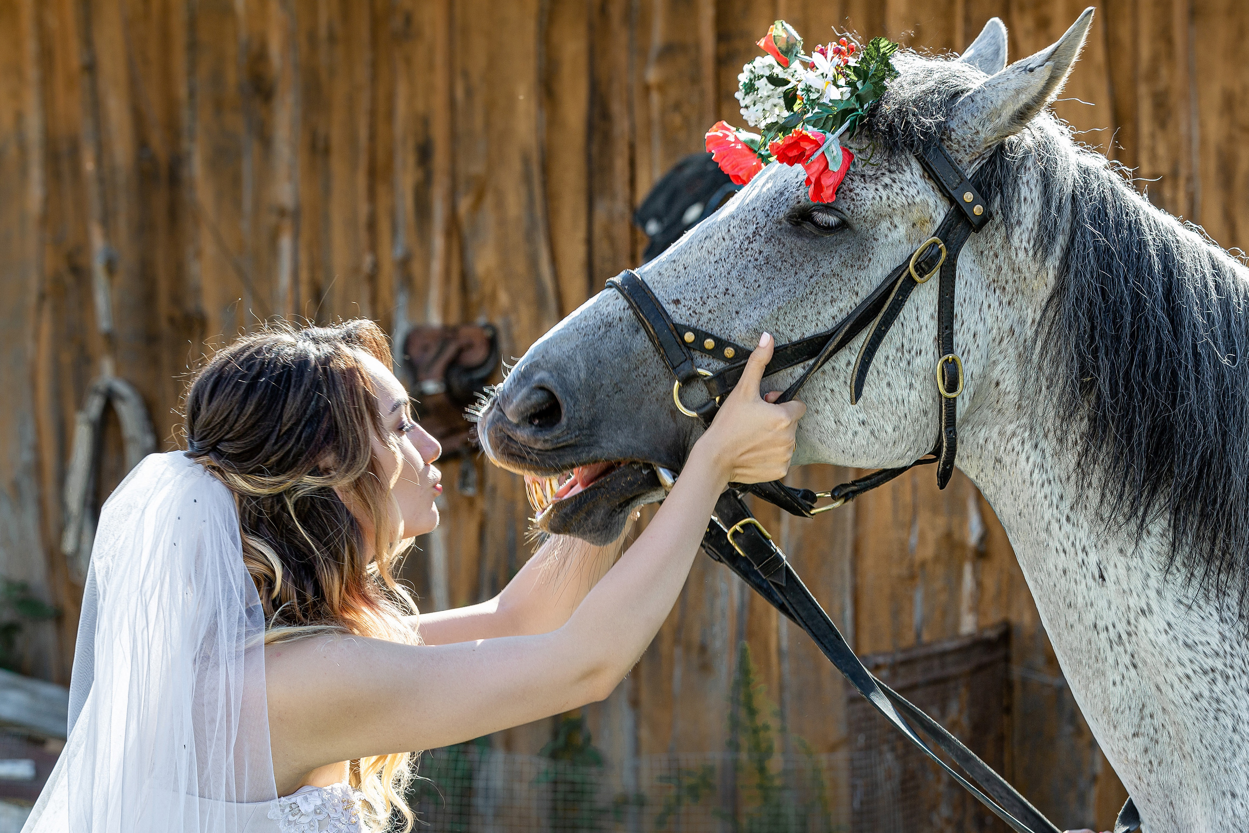 Анонс свадебной фотосессии Артема и Юлии. Свадебный фотограф в Барановичах Вячеслав Шах-Гусейнов, фотошкола