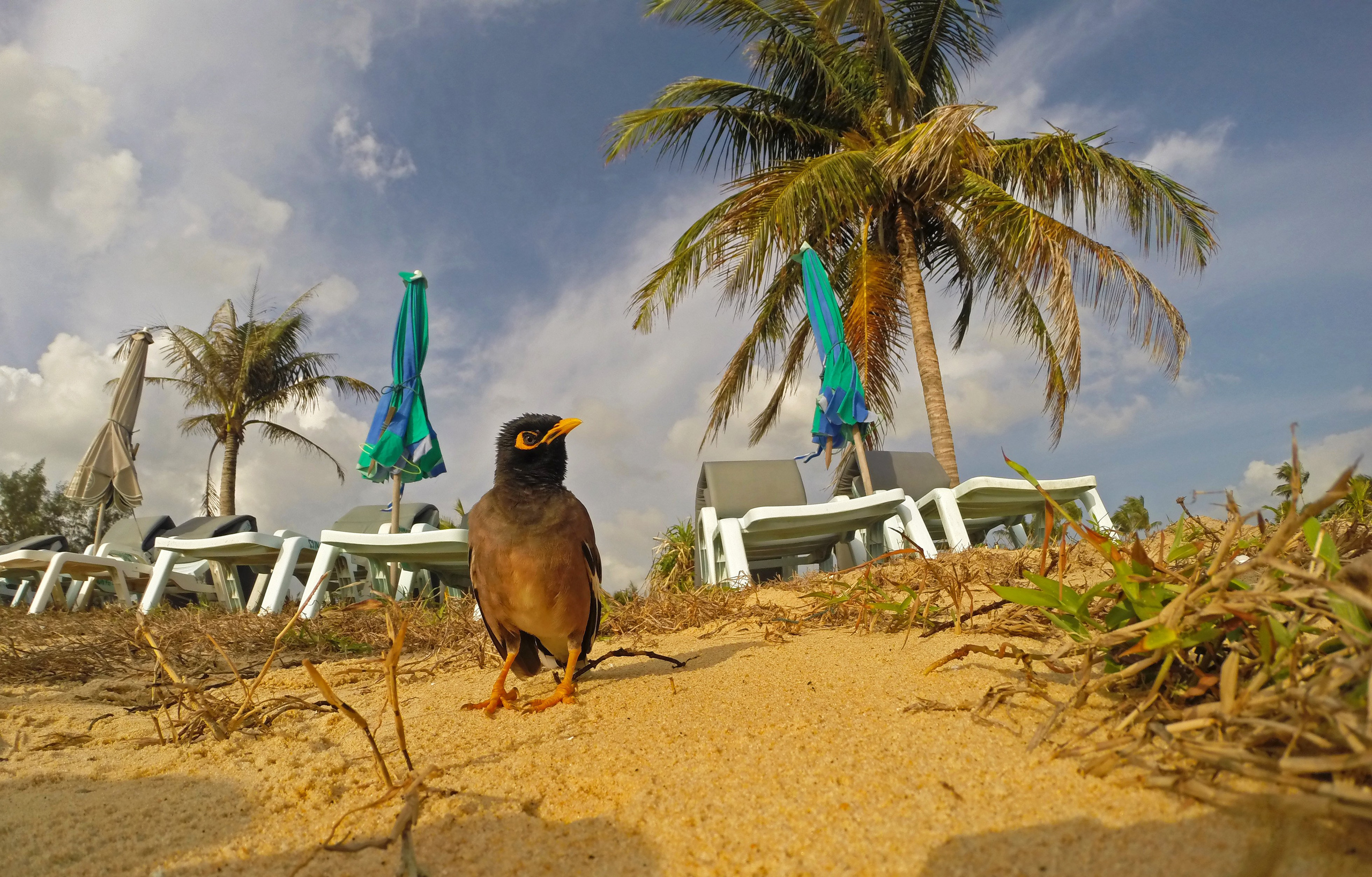 Пхукет. Фотограф Алексей Федорищев