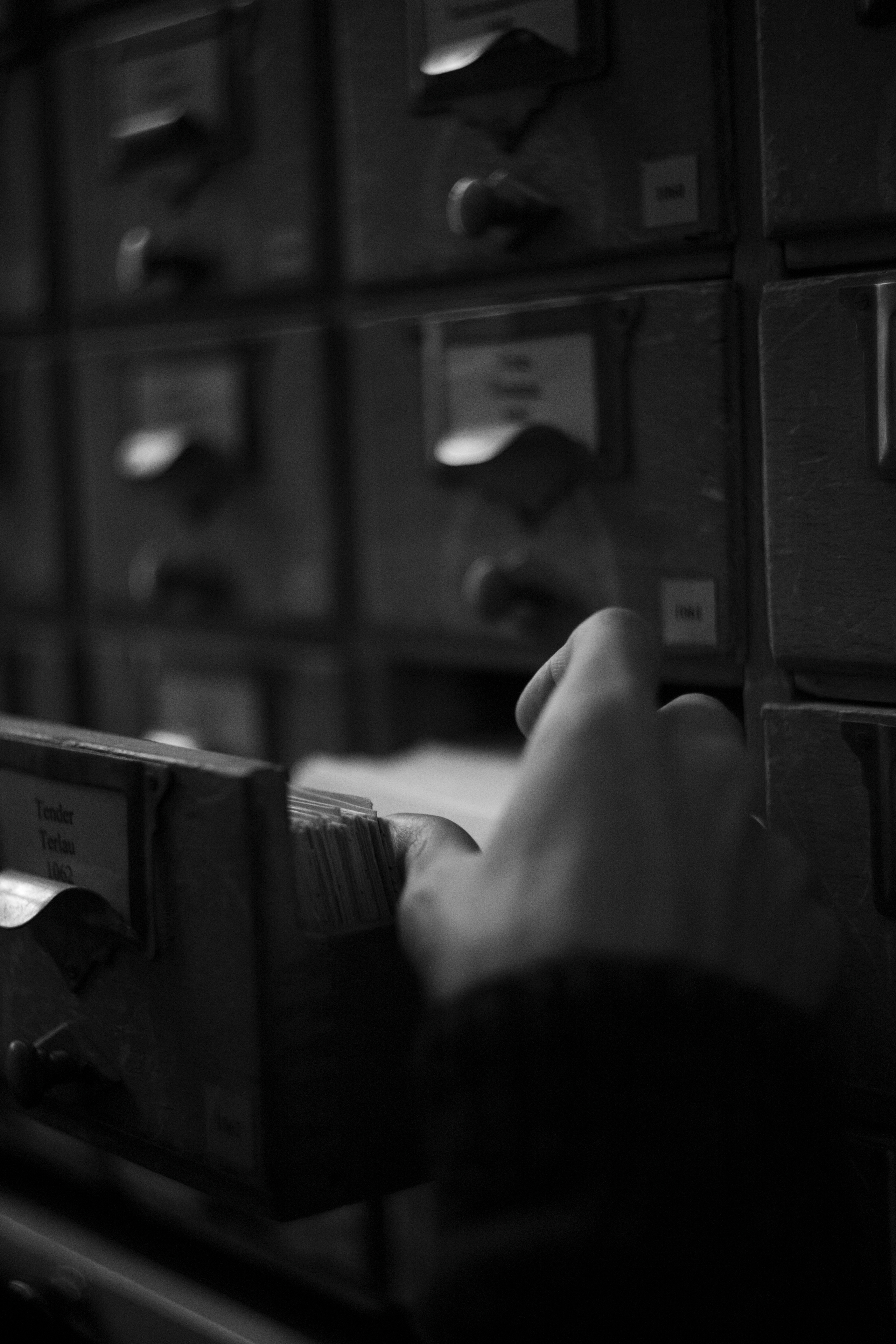 Кирилл. Пушкарь Валерия Фотограф Москва/Зеленоград