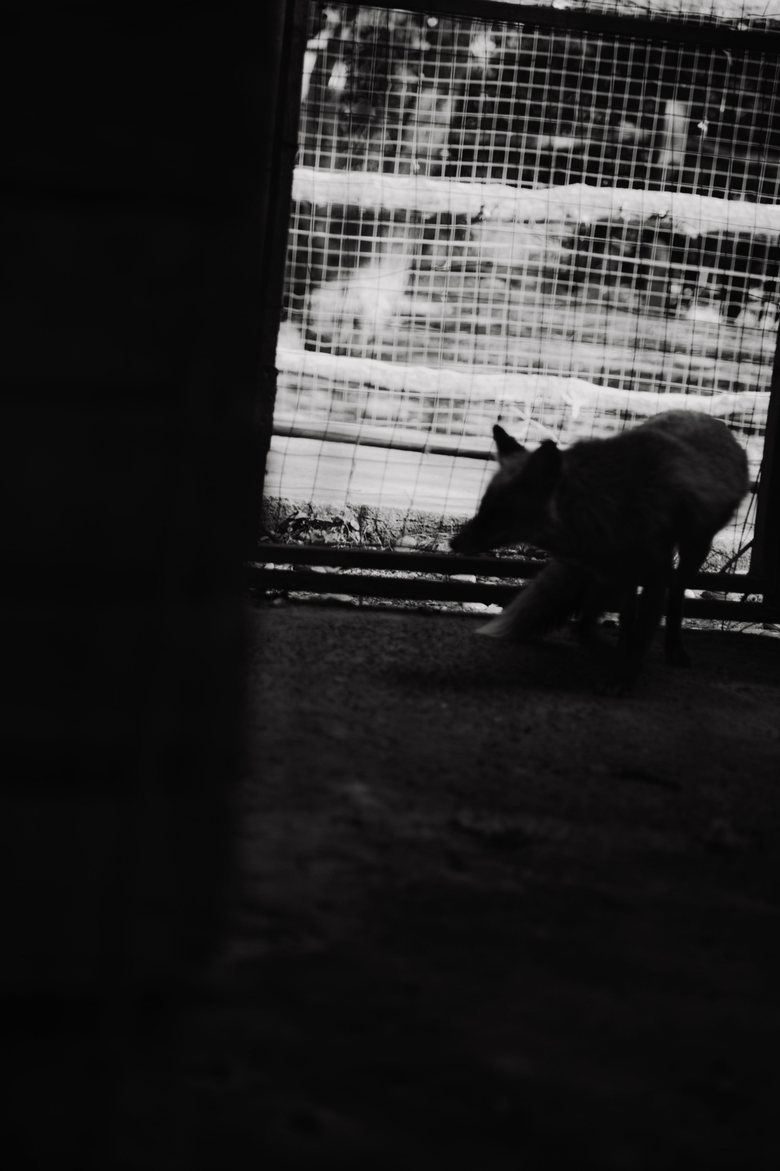 Зоопарк. Dmitriy [KCCC] is a pretty cool photographer