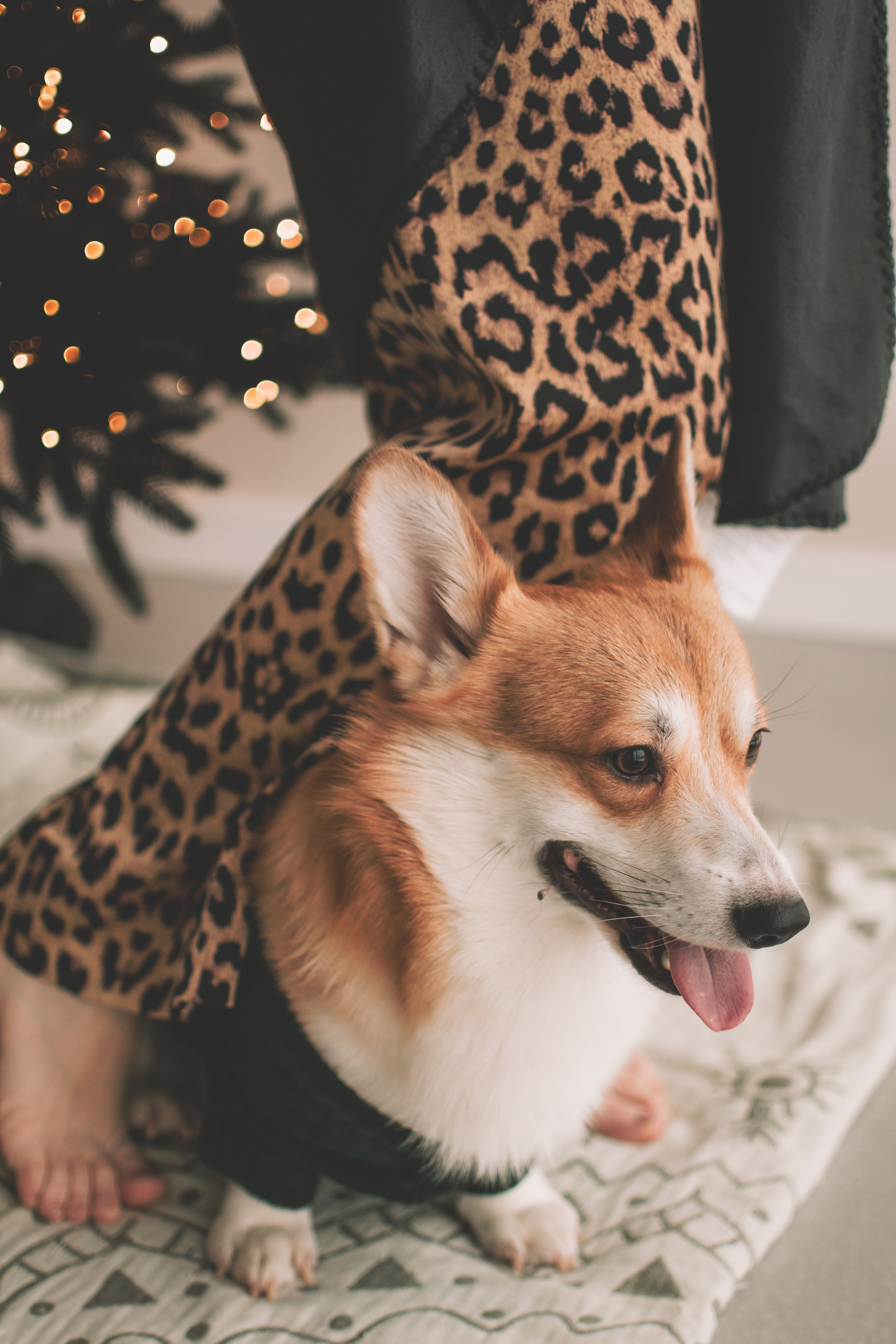 Евгения+Милкис. Семейный и свадебный фотограф Губкинский и Ставрополь