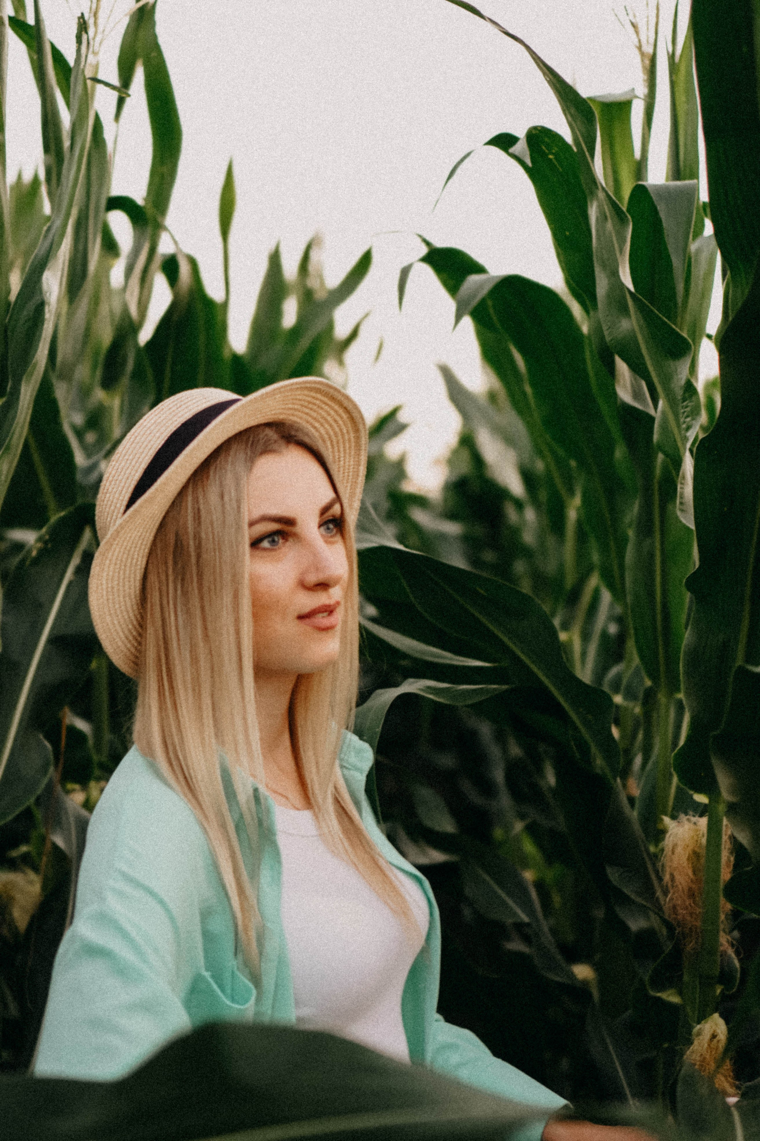 Летний вечер. Профессиональный фотограф, Санкт-Петербург — Виктория Богомолова